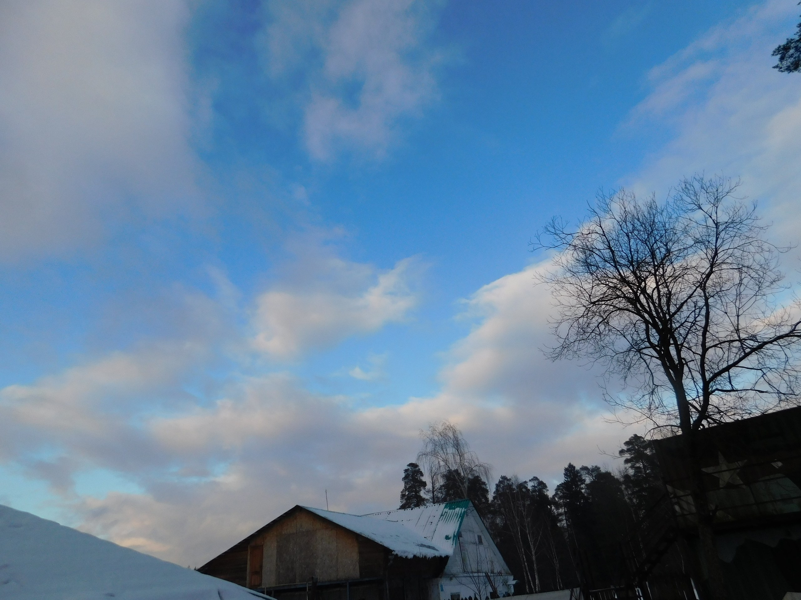 Пейнтбол + шашлычки | 23.02.2020. Галерея Фантим
