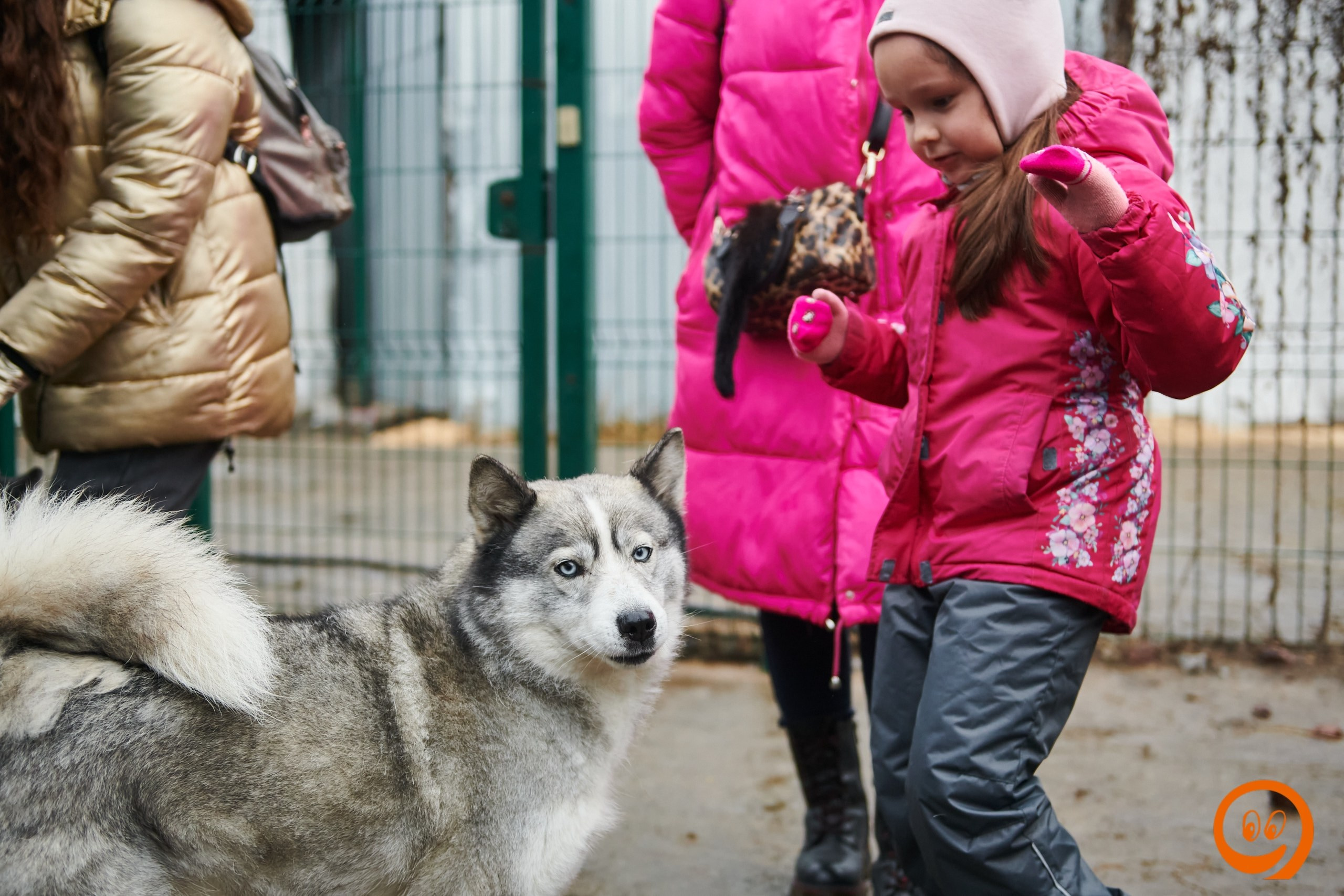 В гости к северным оленям | 18.01.2025. Галерея Фантим