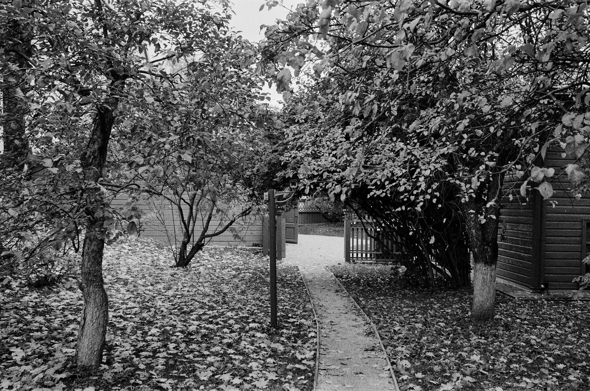 The Lev Tolstoy House Museum. Another person Pavel Potseluev. A photographer in 2025