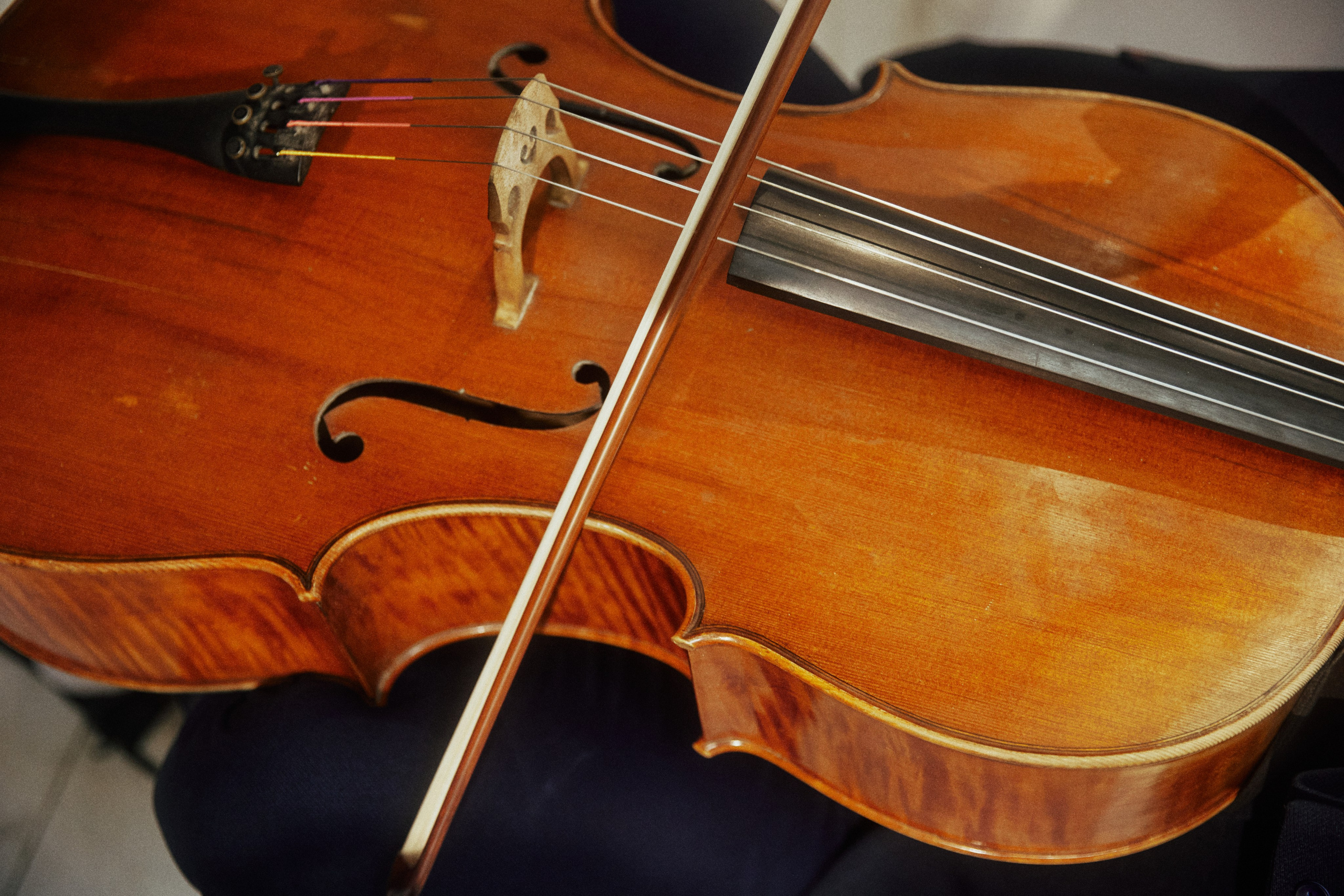 A NEW FAMILY TREE. Дмитрий Мазуркевич: Профессиональный Репортажный Фотограф