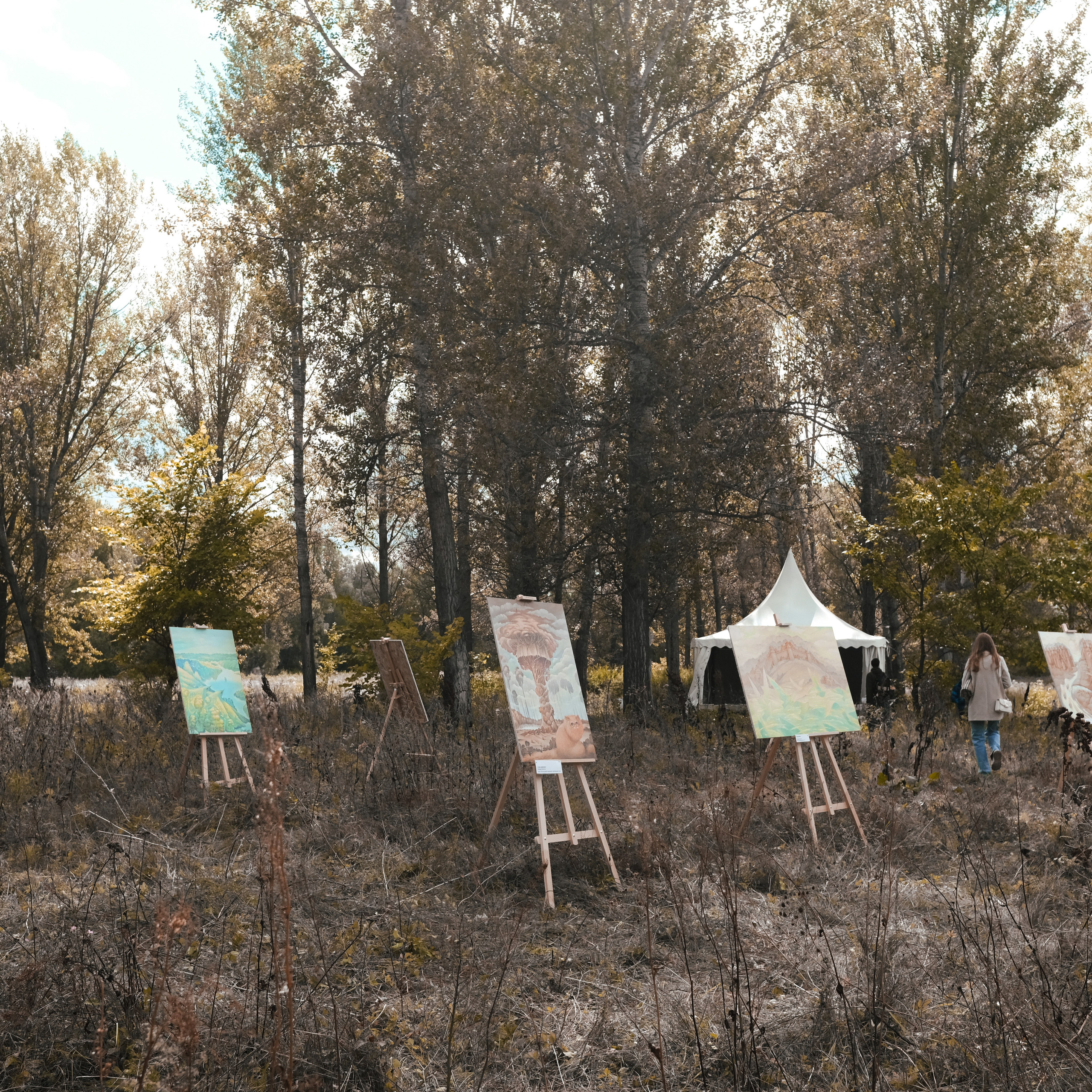 Эко-фестиваль АртЛуга 2022. LIYALEE PHOTO