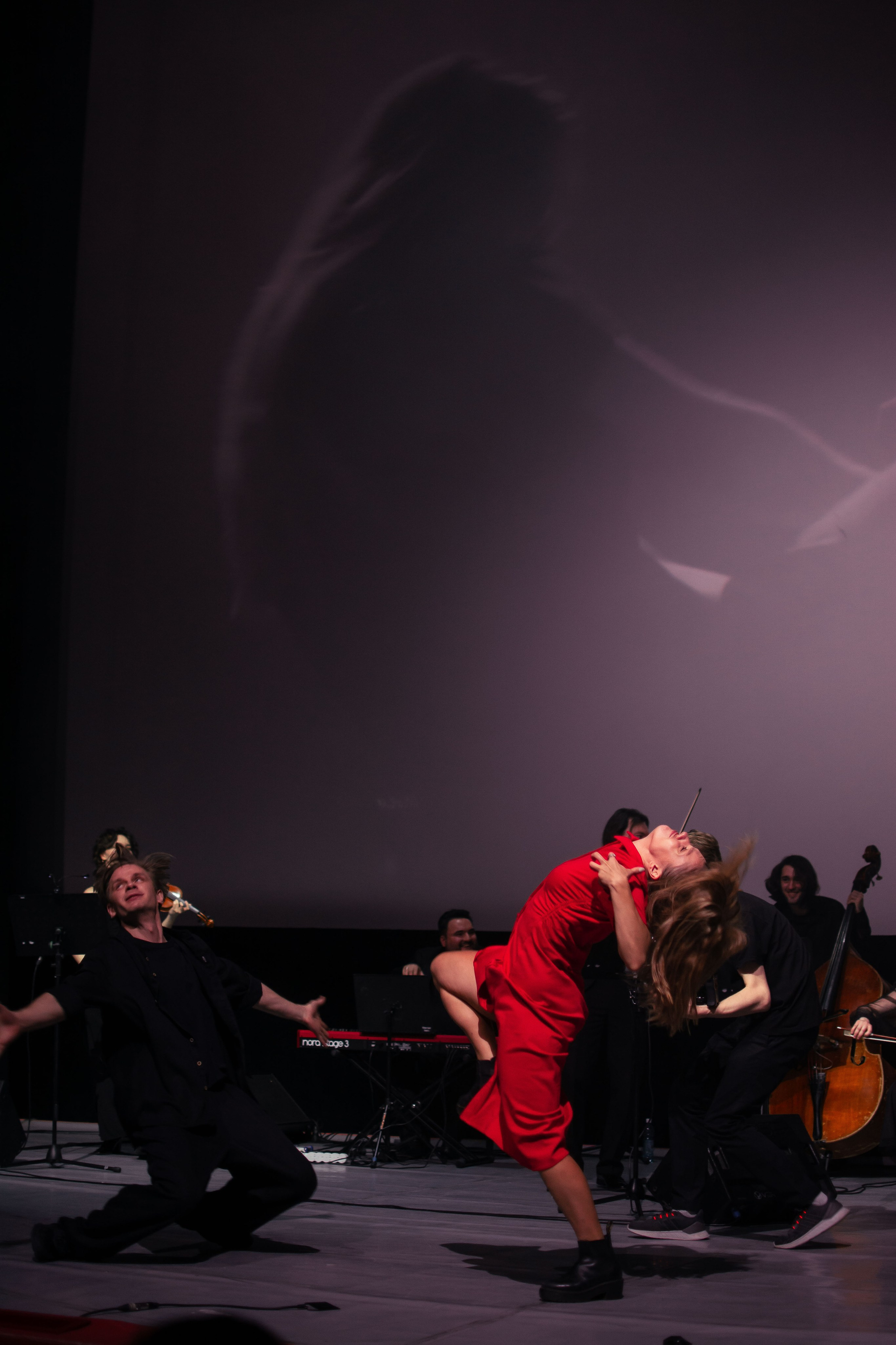 Концерт оркестра Cinematica. Репортажный фотограф в Новосибирске