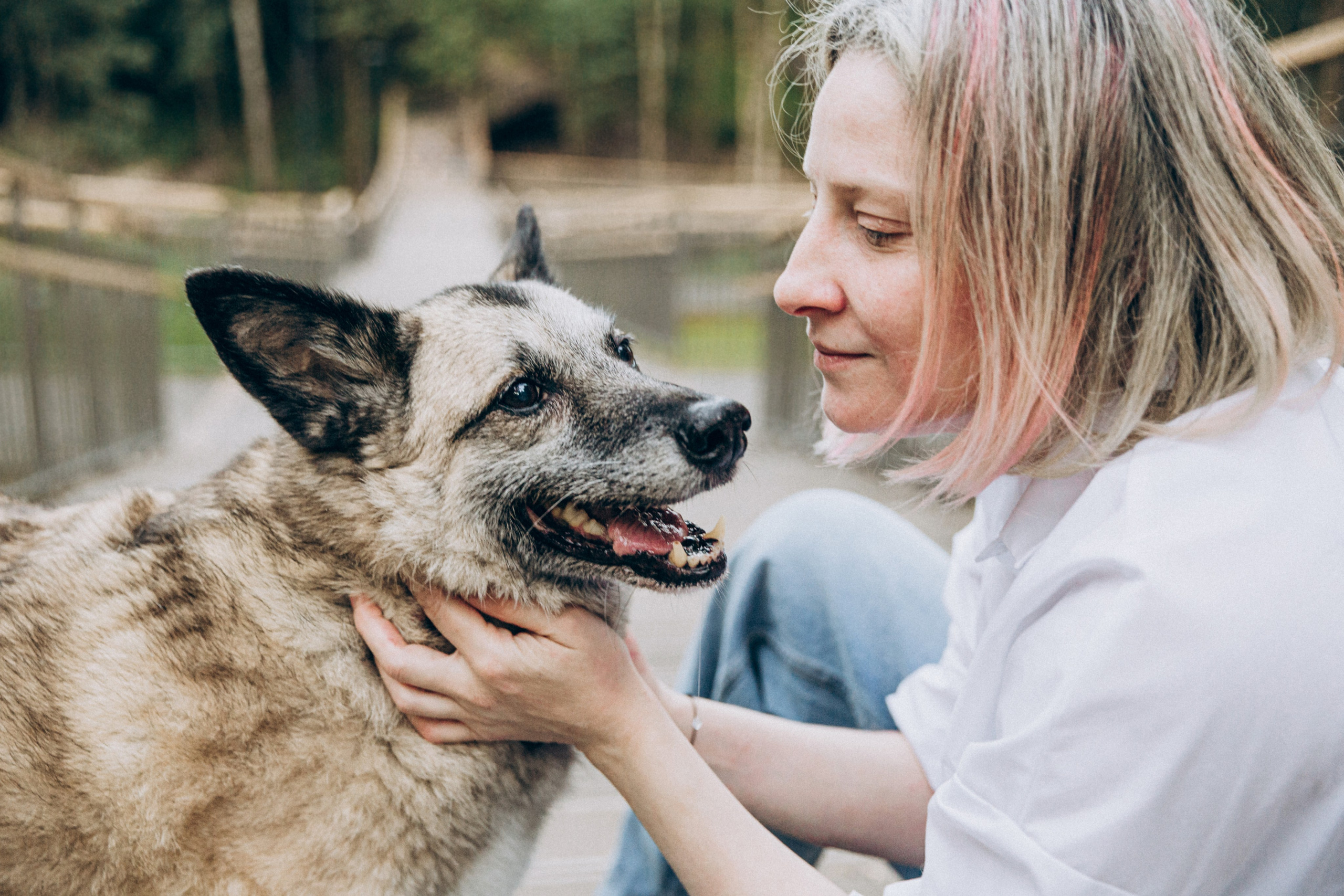 Саша и Скалли. Фотограф-анималист в Москве Соломонова Варвара