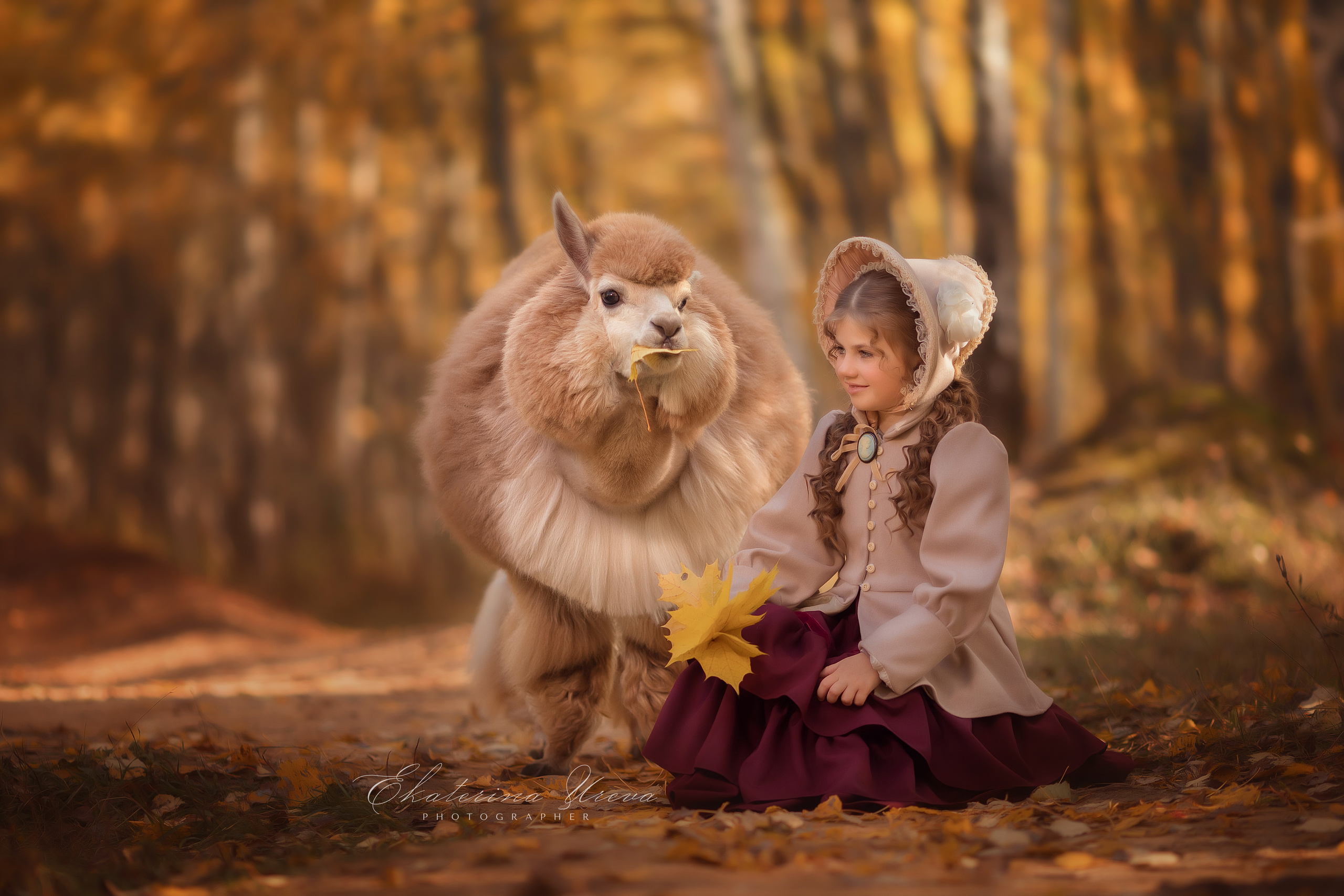 Альпака. Детский и семейный фотограф Екатерина Юрьева в Москве