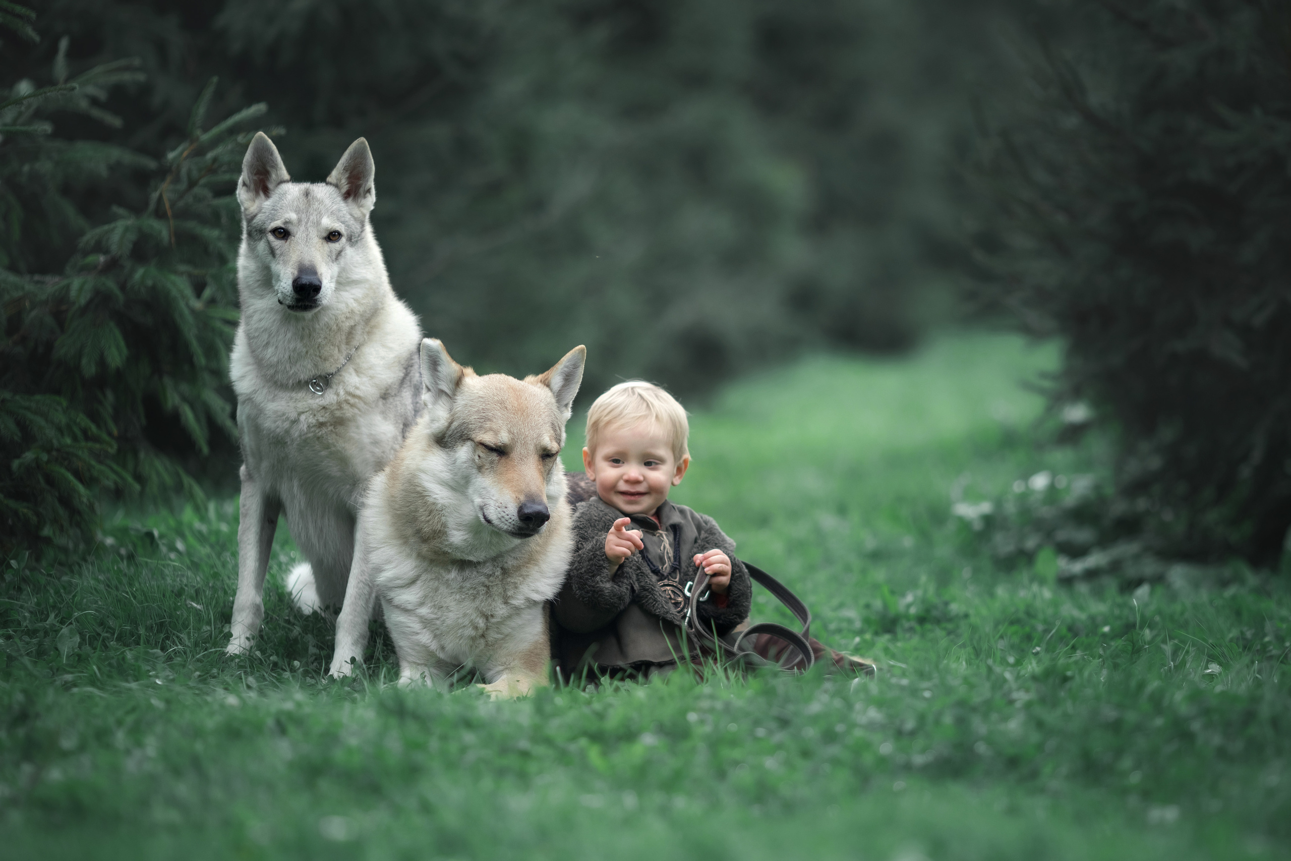 Viking & Wolf. Children’s and family photographer Ekaterina Ureva in Moscow