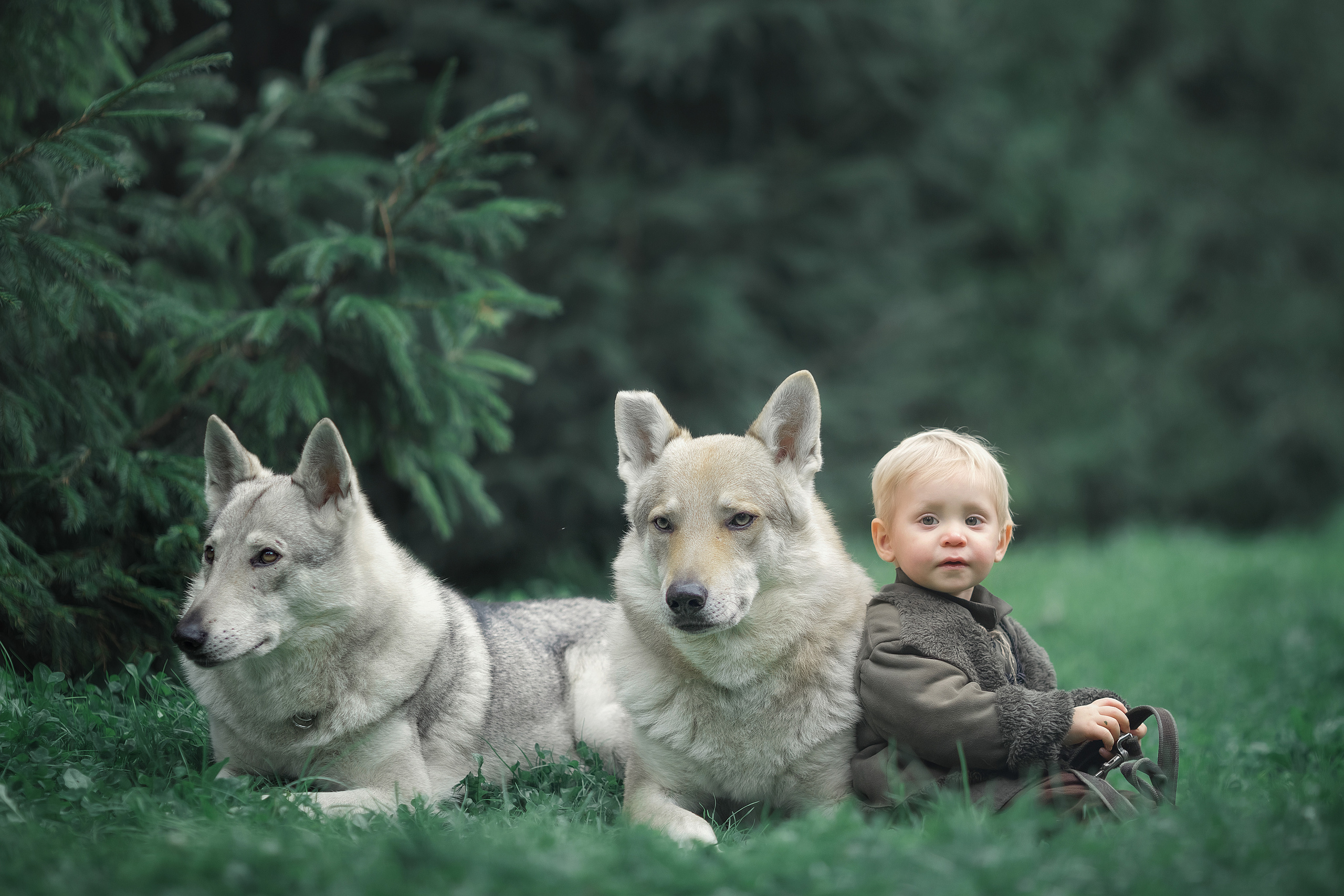 Viking & Wolf. Children’s and family photographer Ekaterina Ureva in Moscow