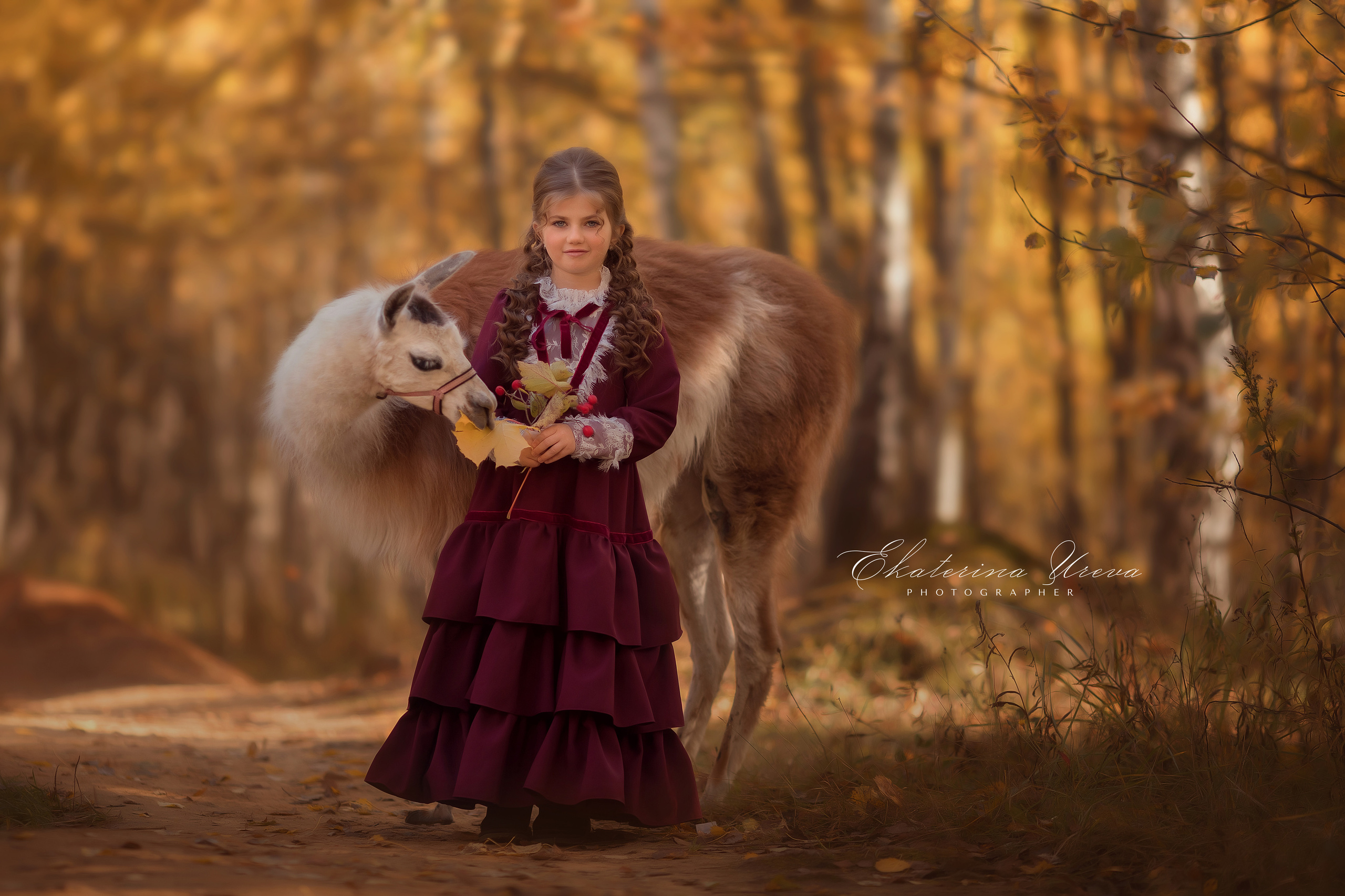 Альпака. Детский и семейный фотограф Екатерина Юрьева в Москве