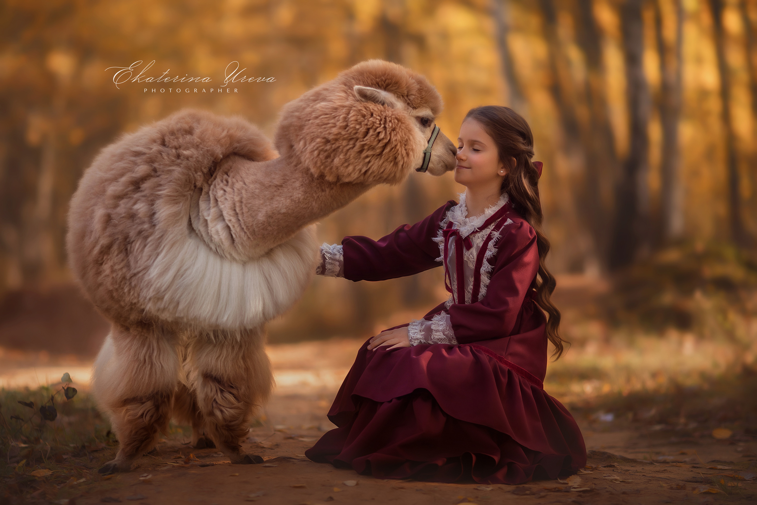 Альпака. Детский и семейный фотограф Екатерина Юрьева в Москве