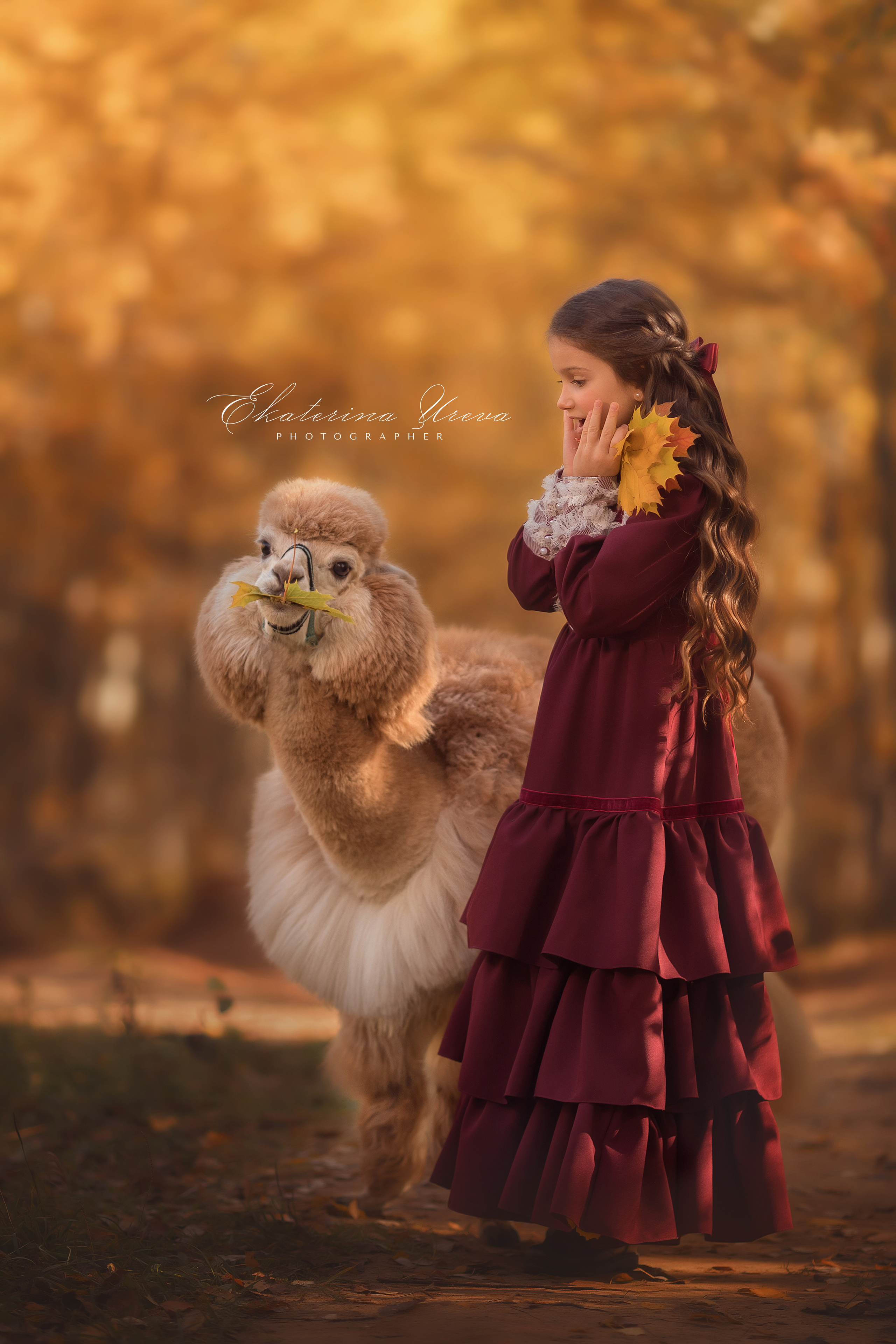 Альпака. Детский и семейный фотограф Екатерина Юрьева в Москве