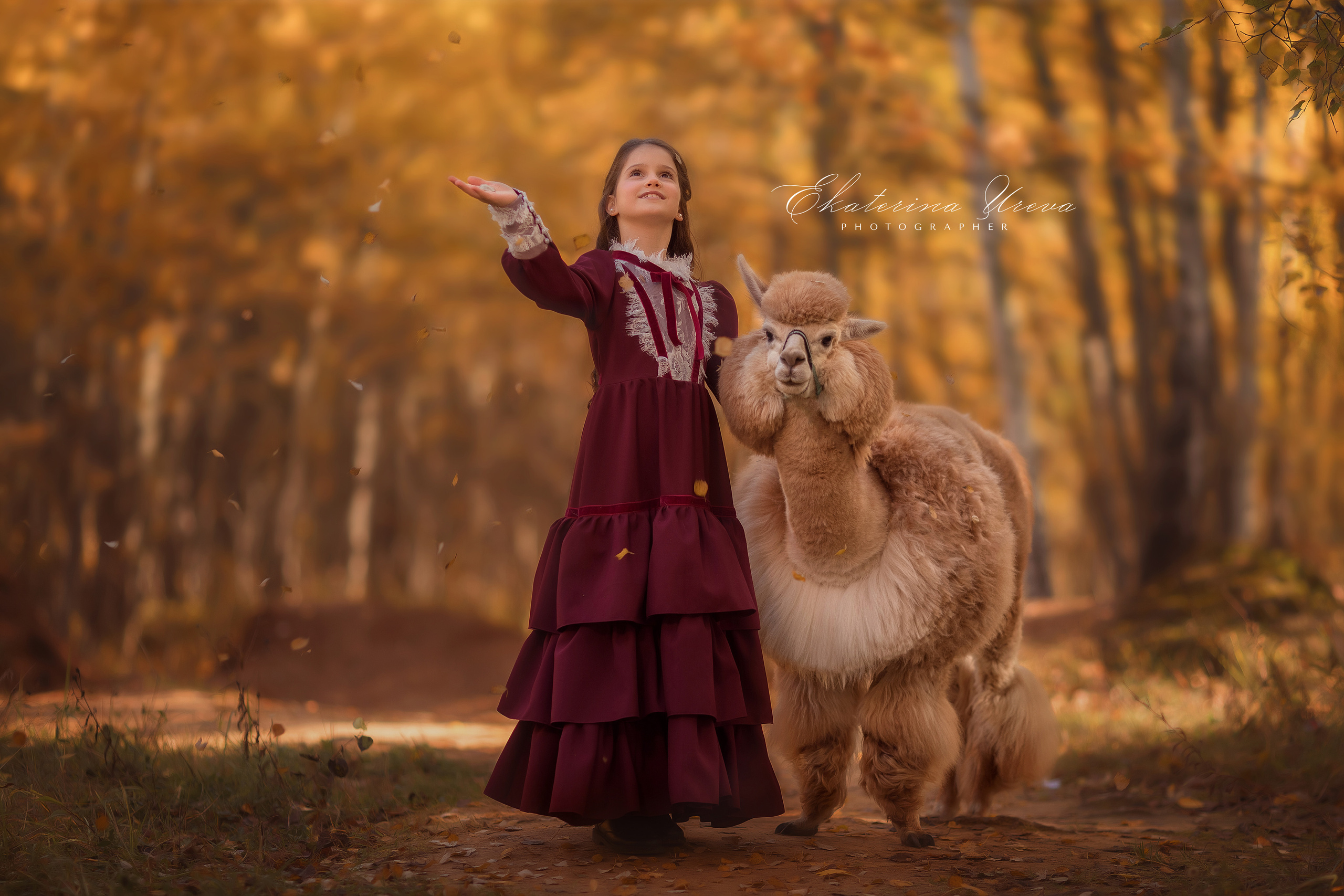 Альпака. Детский и семейный фотограф Екатерина Юрьева в Москве