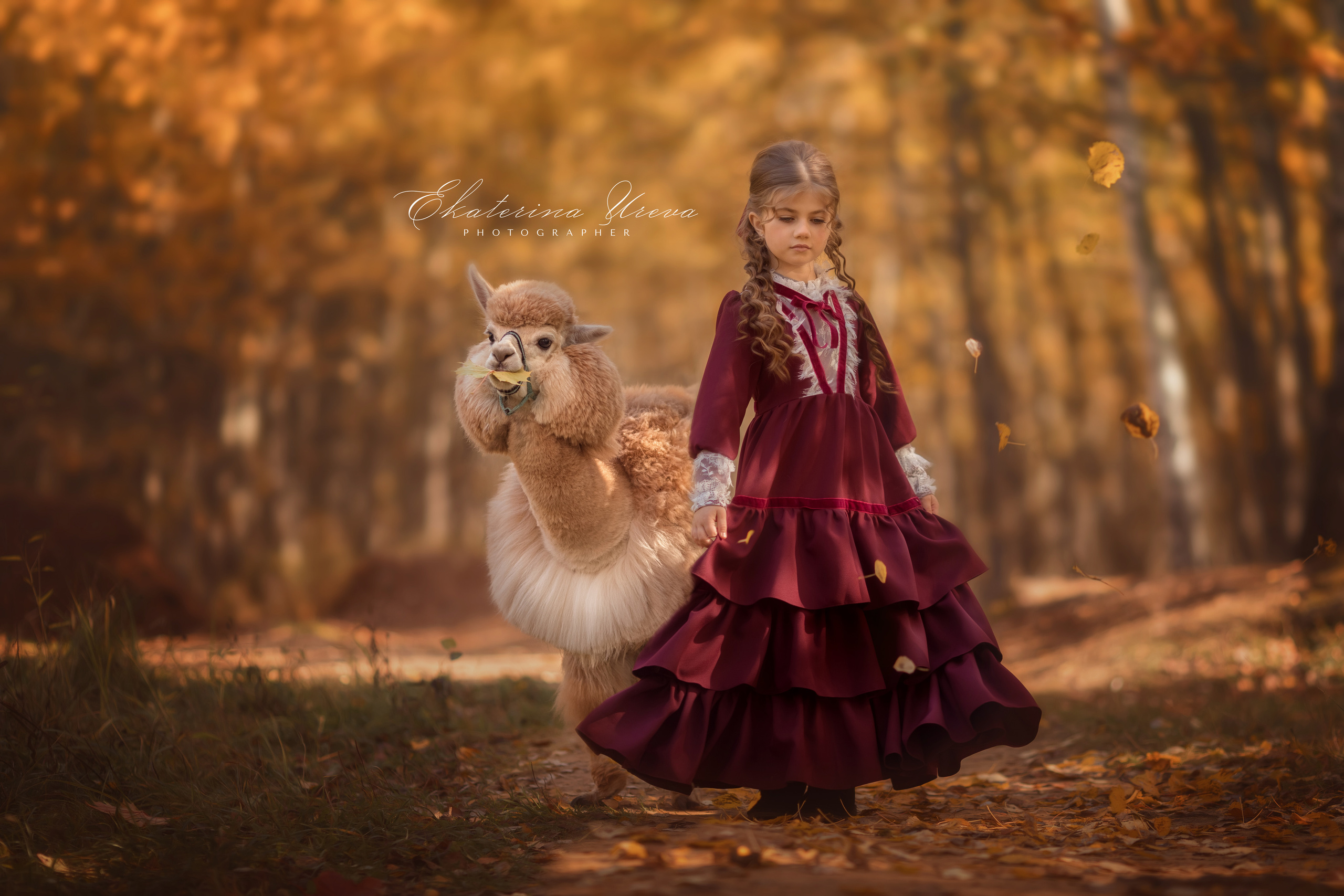 Альпака. Детский и семейный фотограф Екатерина Юрьева в Москве