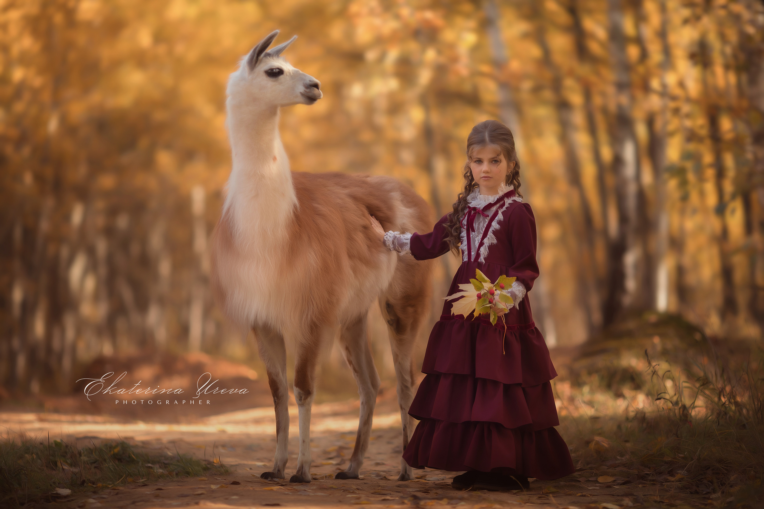 Альпака. Детский и семейный фотограф Екатерина Юрьева в Москве