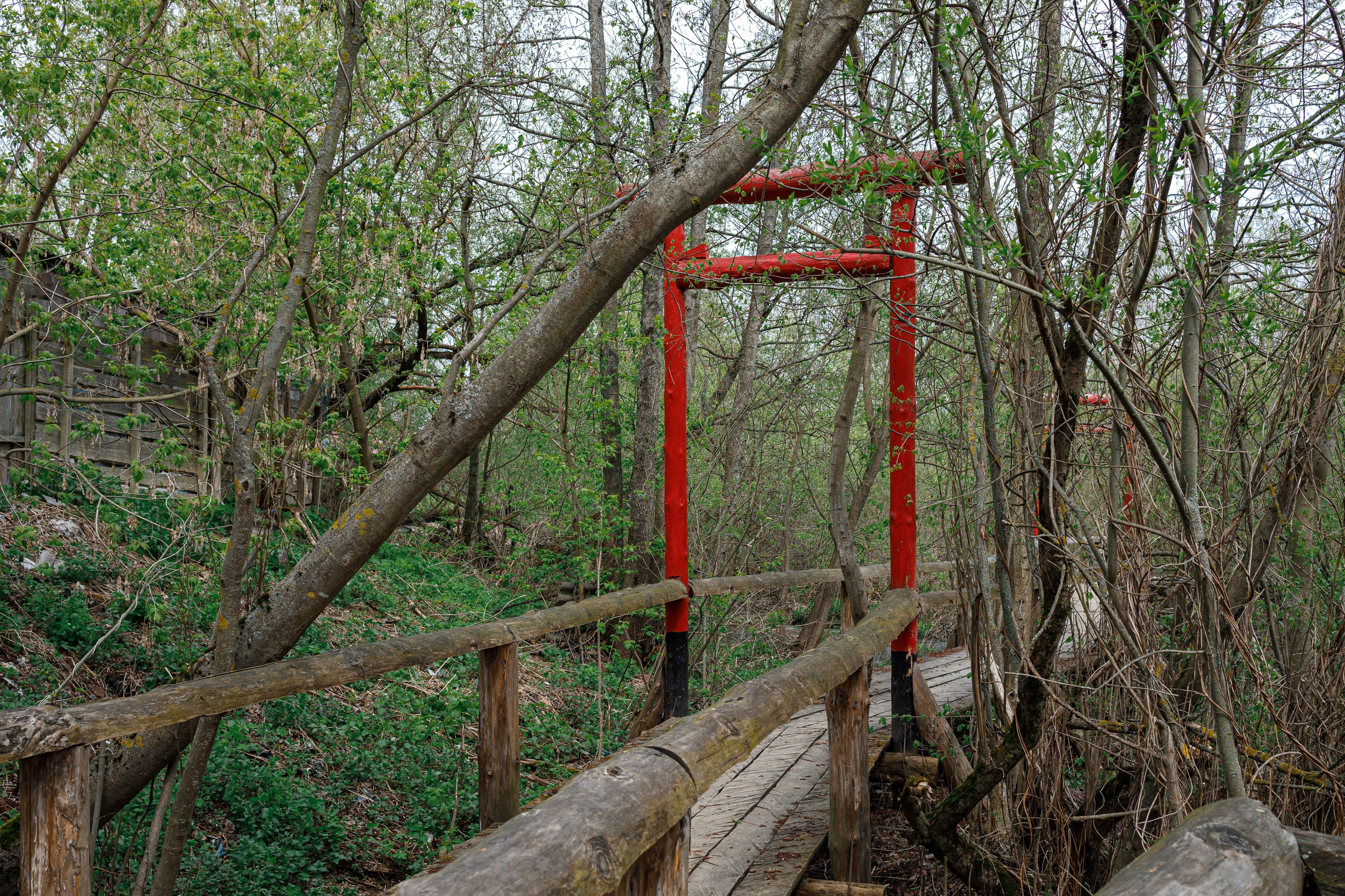 Непривычная фотография. Репортажный и портретный фотограф в Москве Саханцева Анна