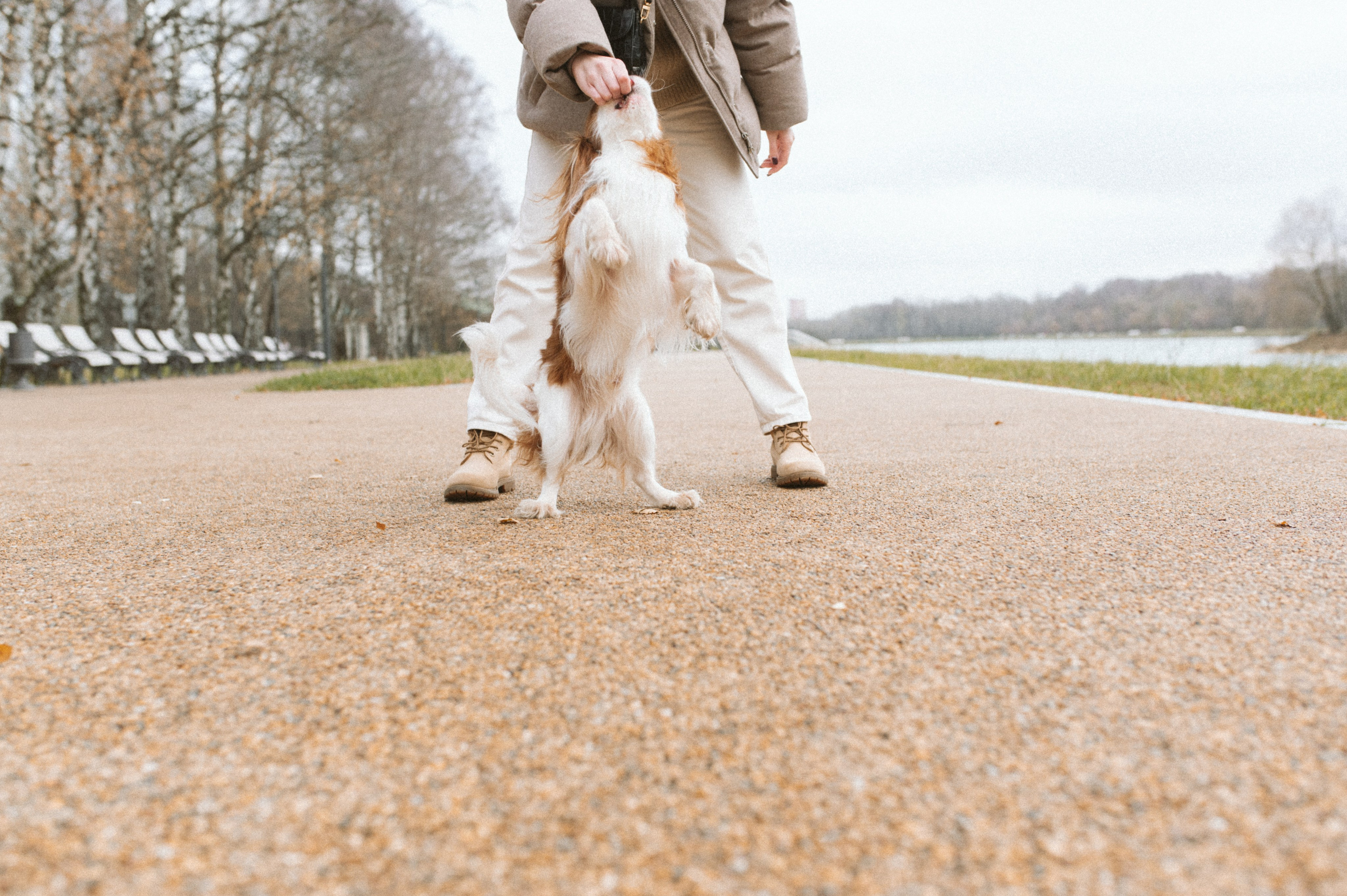 Настя и Тэйлор. Фотограф анималист в Москве Ольга Агушева