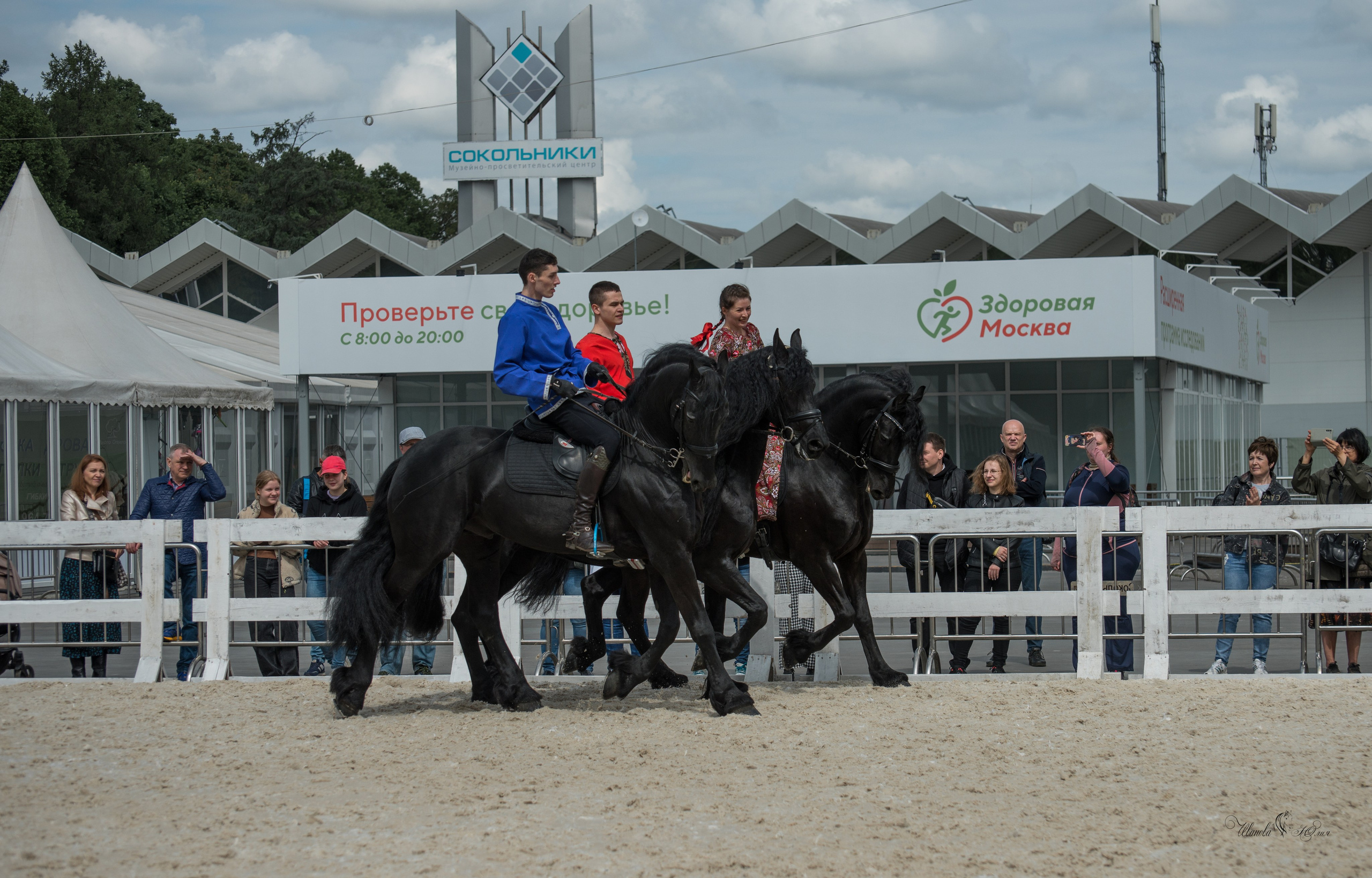 Эквирос, Москва. Конный фотограф в Саратове Юлия Иванова