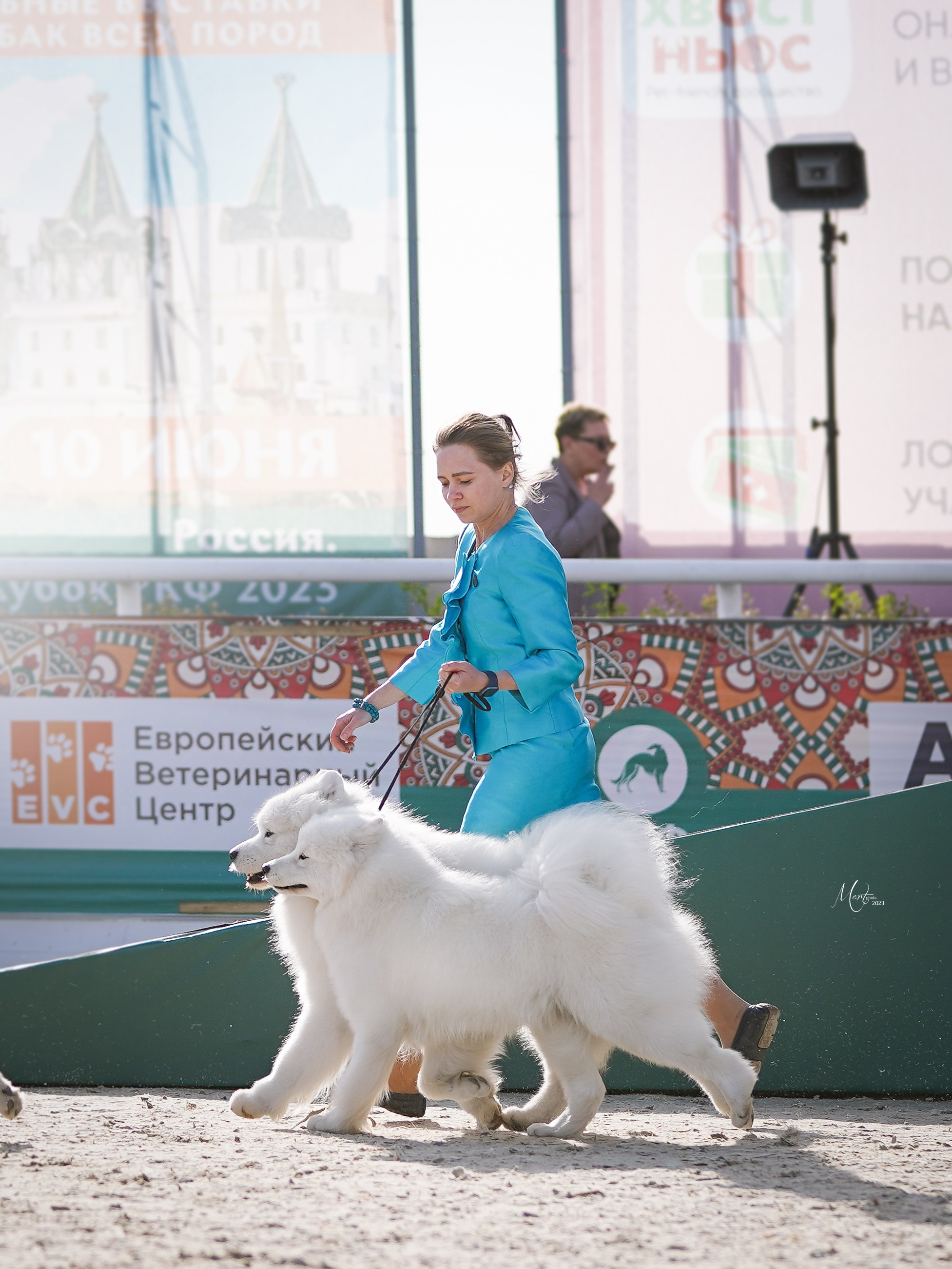 Выставки 2023. Фотограф-анималист в Санкт-Петербурге Яна Мартынова