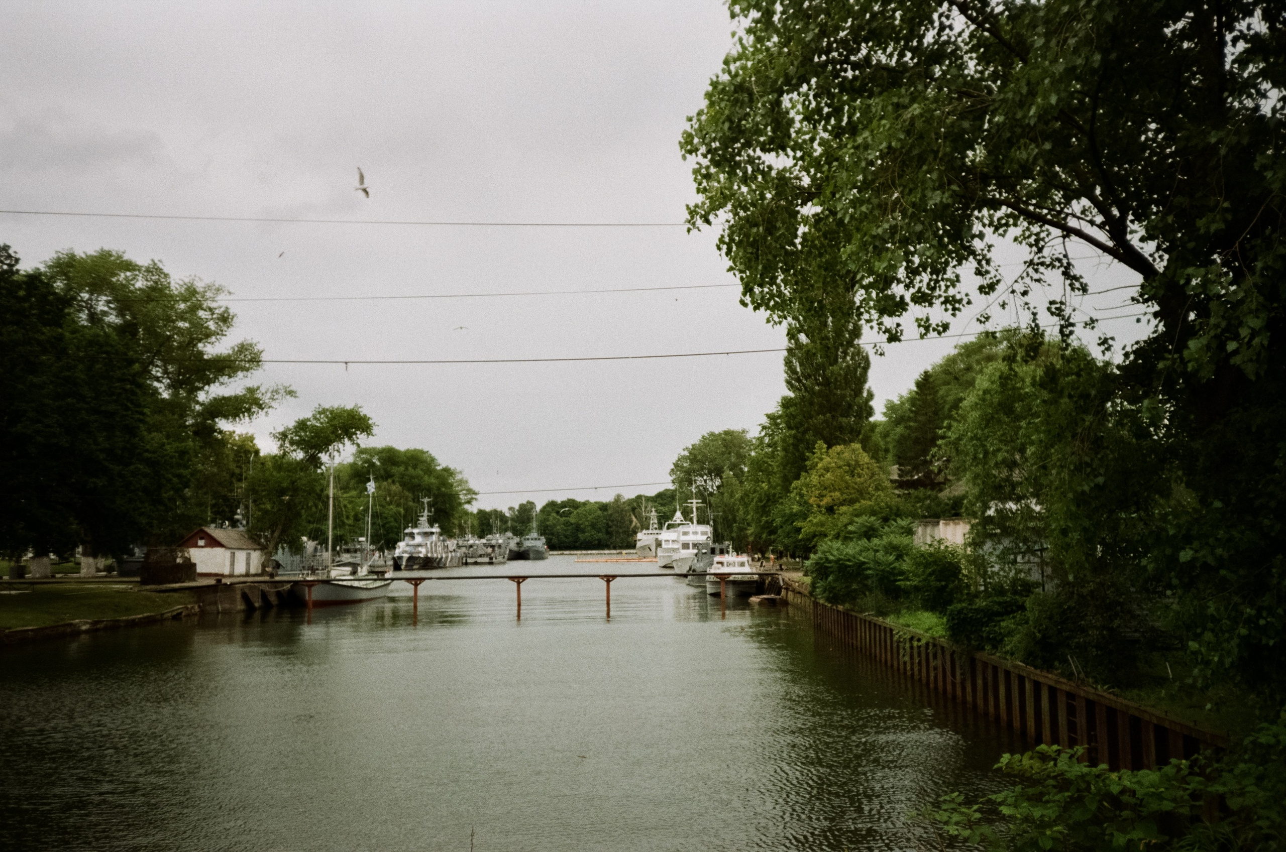 Танцующий лес на Куршской косе. Маяк и корабли в Балтийске. Фотограф-документалист Мария Осокина