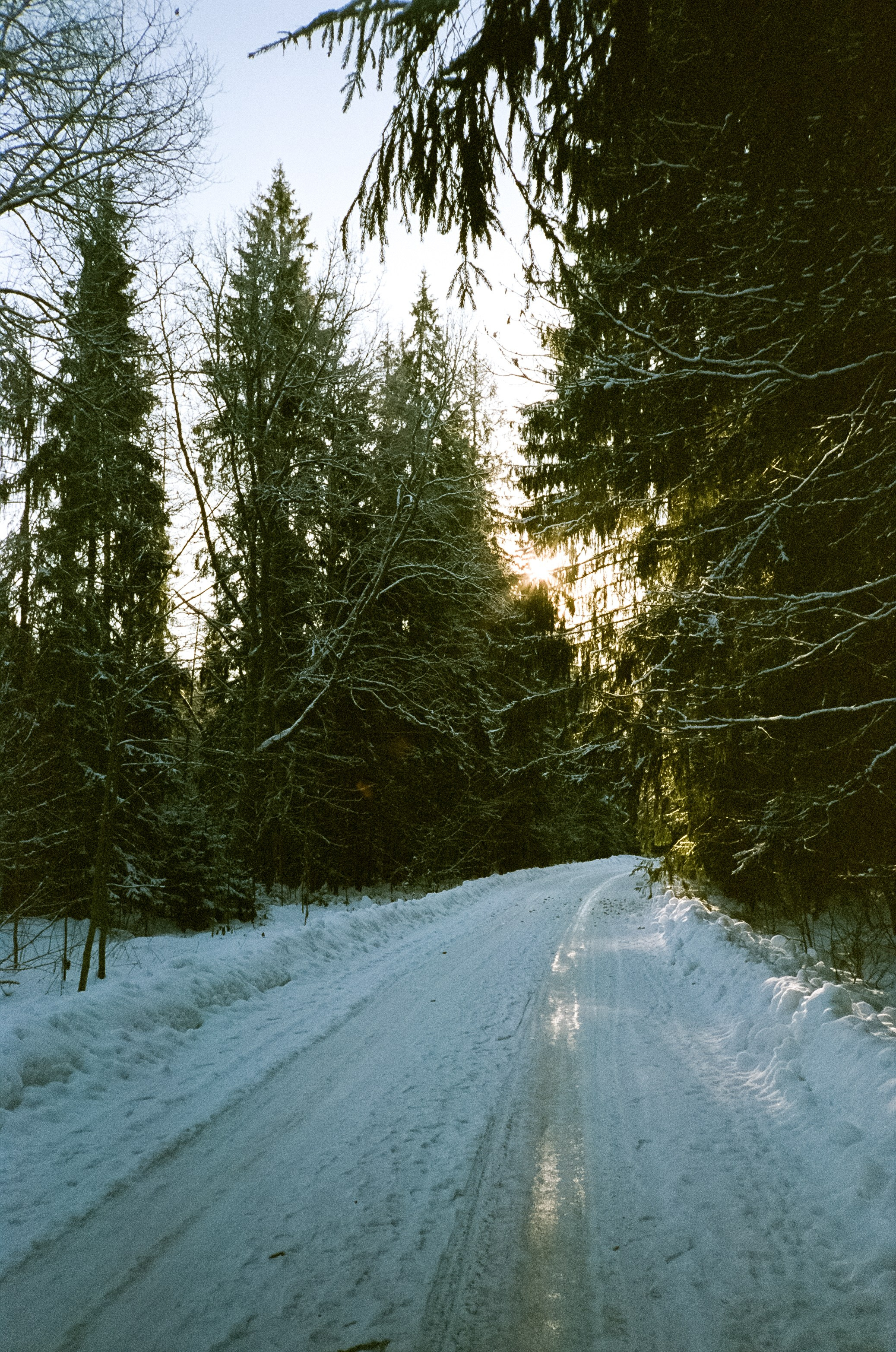 Chinon Auto 3001 (2) / Fuji Eterna 250D (ISO 100) / Давыдовское, Лукин