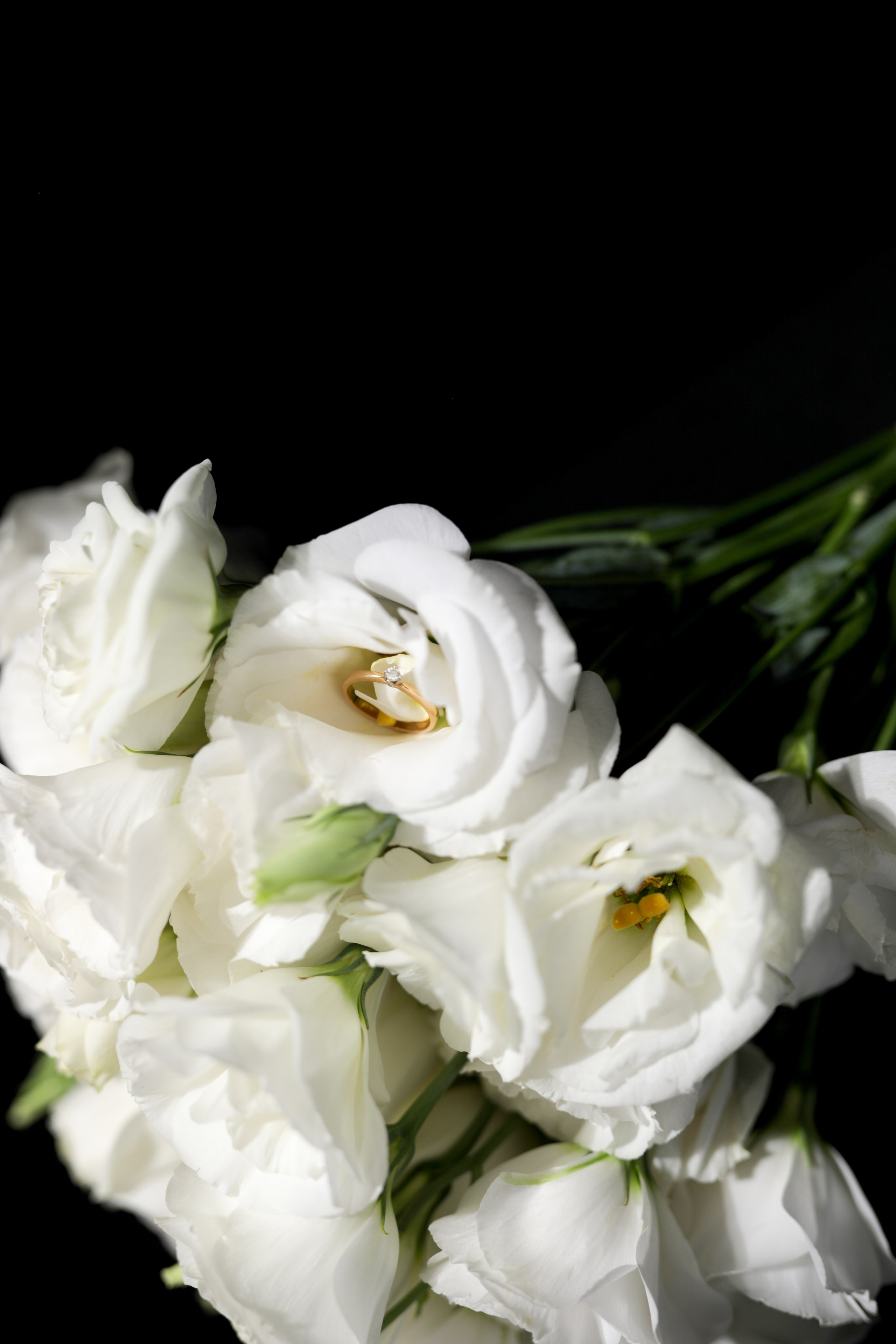 Анастасия и Павел Свадебная фотосессия Славянск на кубани. Фотограф Славянск на кубани Краснодар