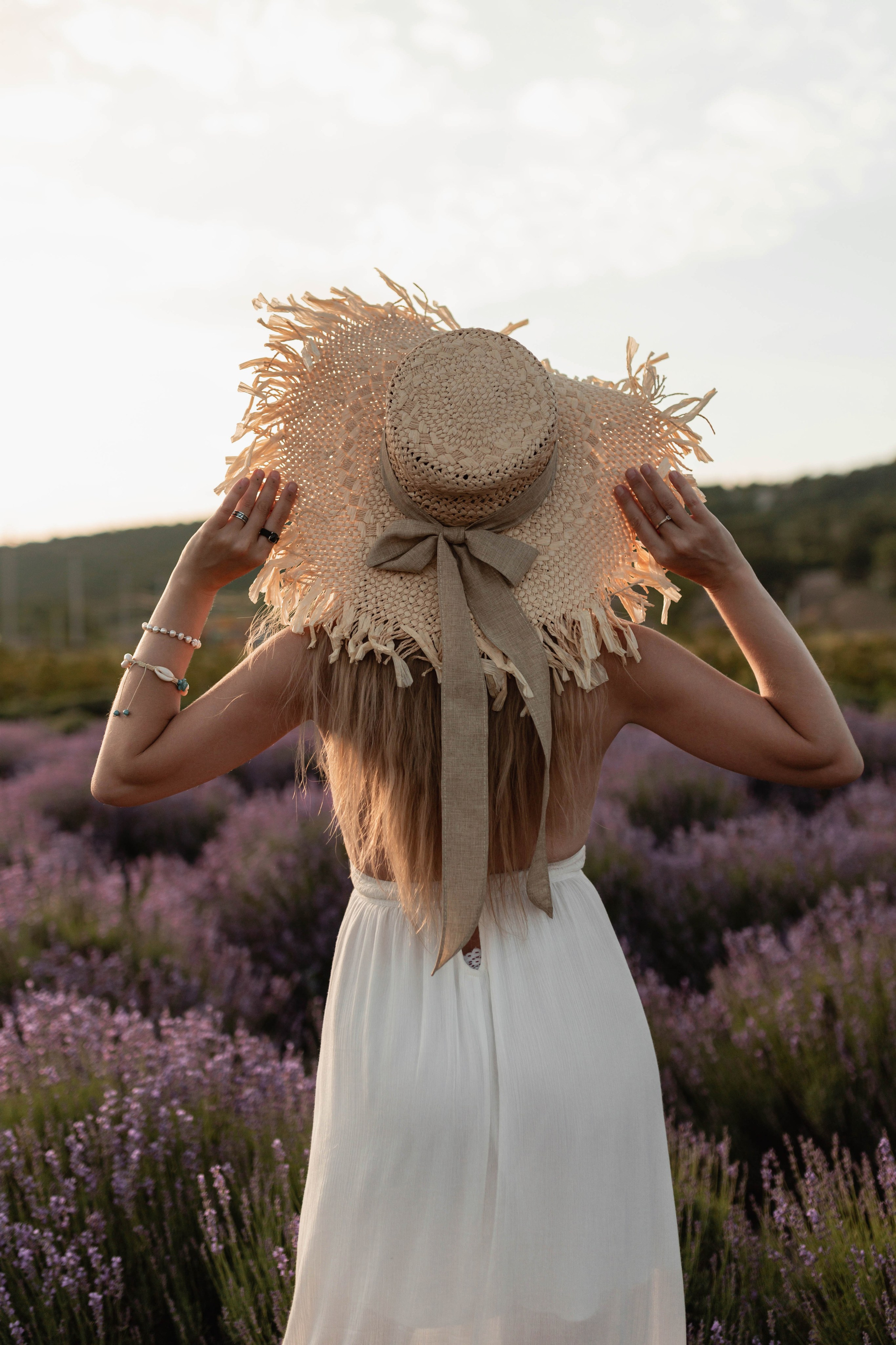 Лаванда. Фотограф Трифон Мира