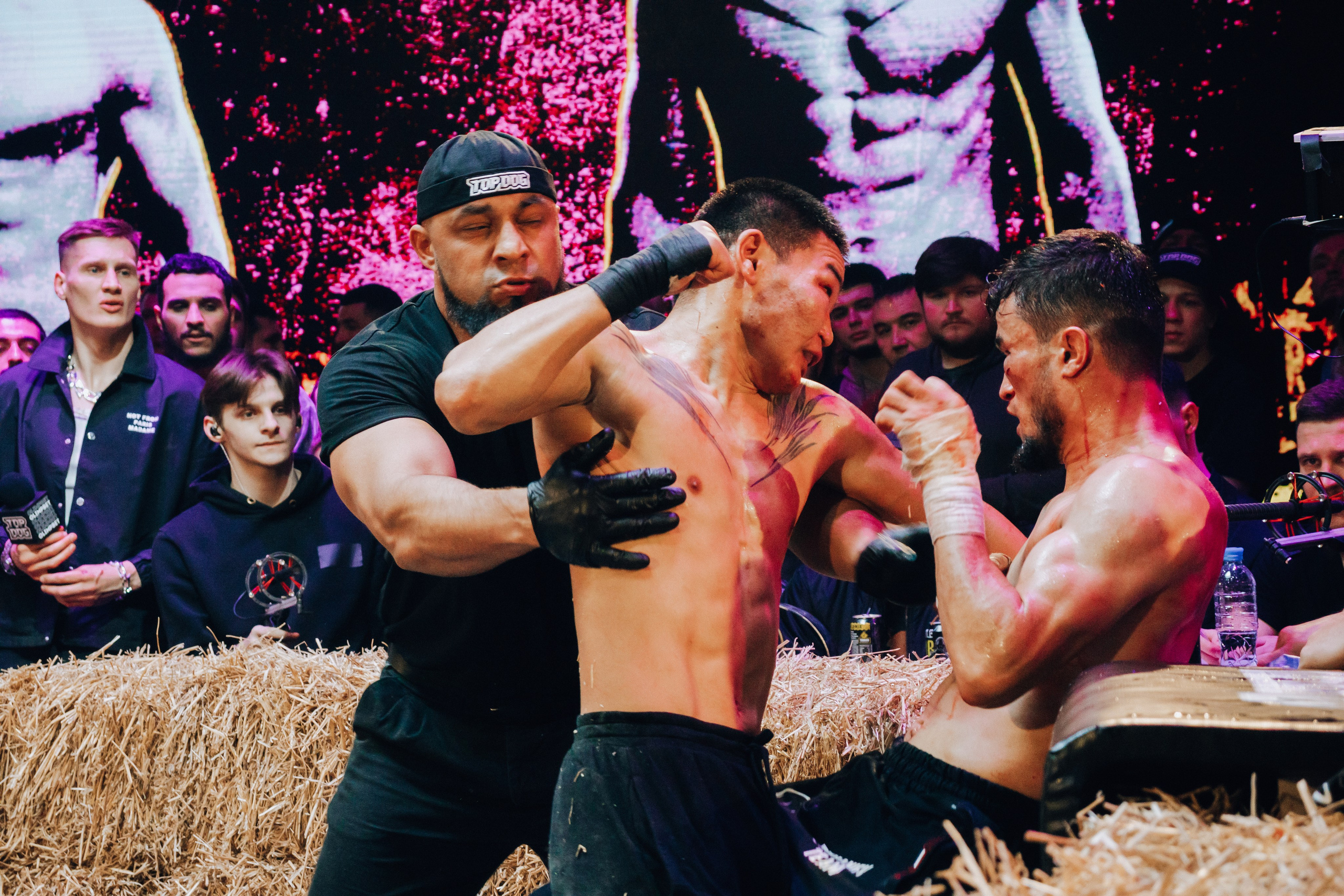 Кулачные бои TopDog. Анастасия Тен