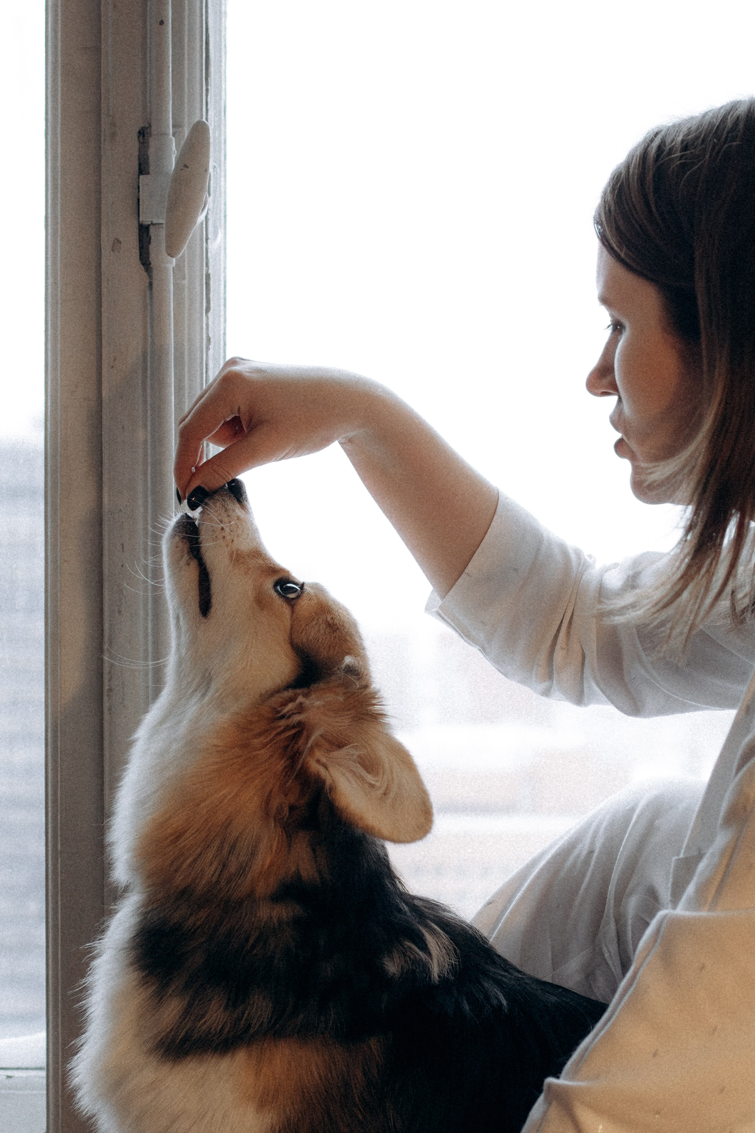 Мишель и Влада. Фотораф — анималист Мария Шистка