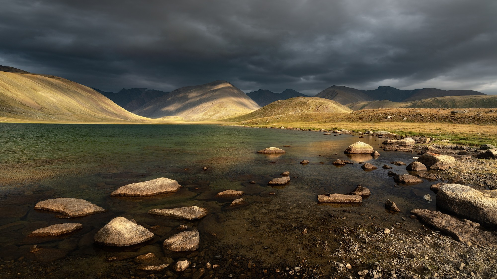 Золото под свинцом. Кош-Агачский район, август 2024