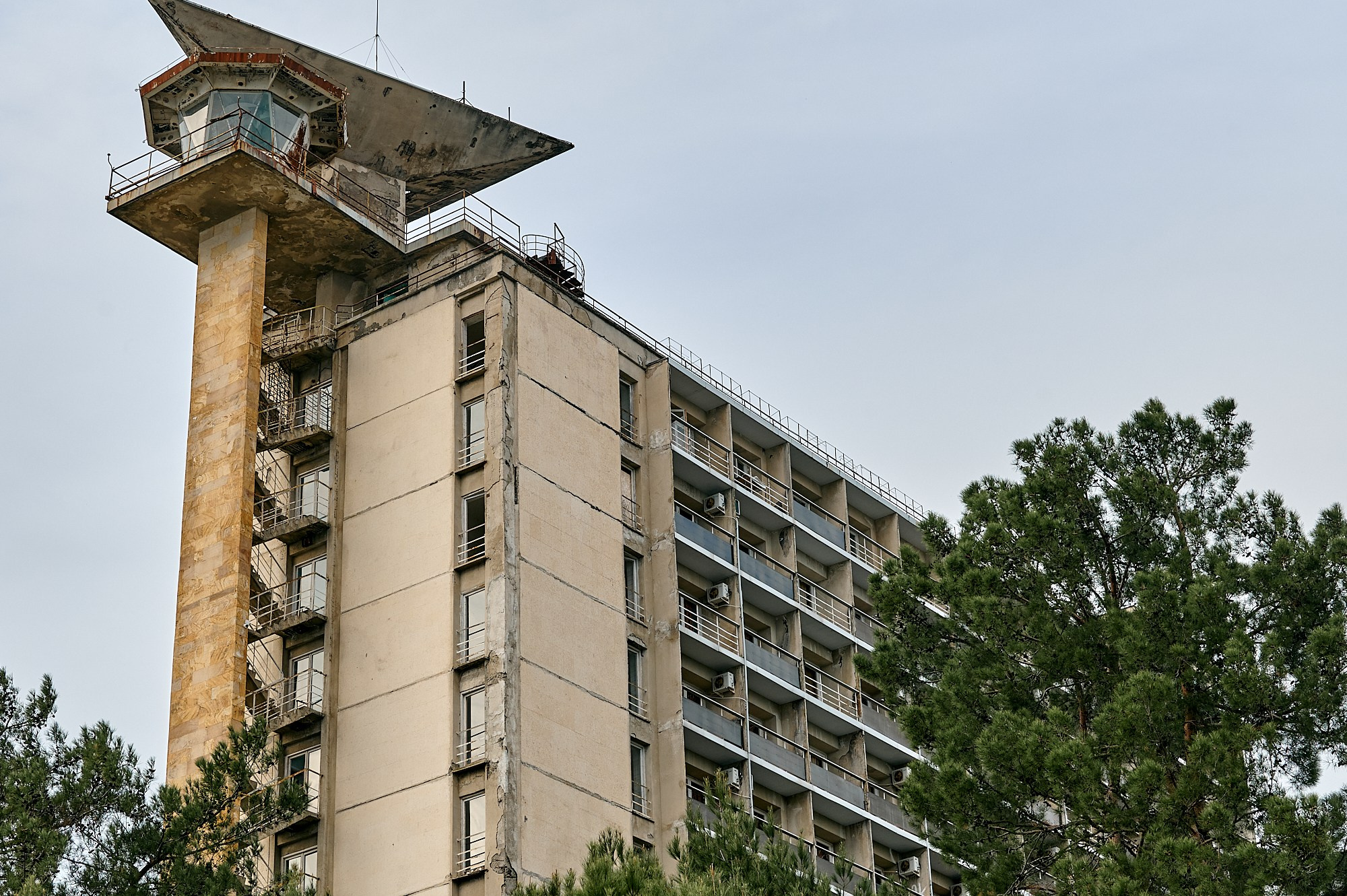 Пицунда, Абхазия. Декабрь 2024. Фотографии отовсюду и обо всем