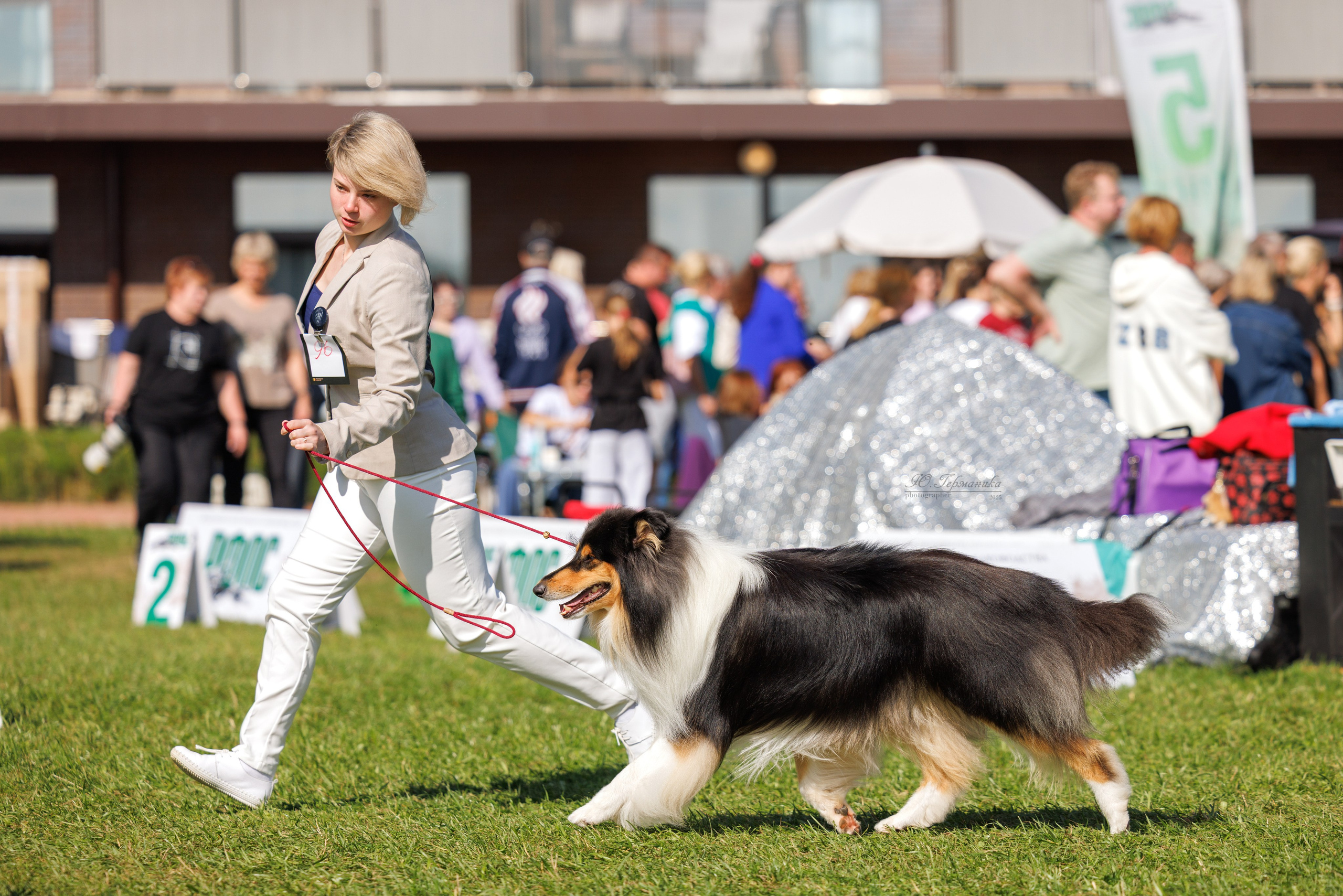 Переславль 5-7.08.2025. Фотограф-анималист Юлия Германика