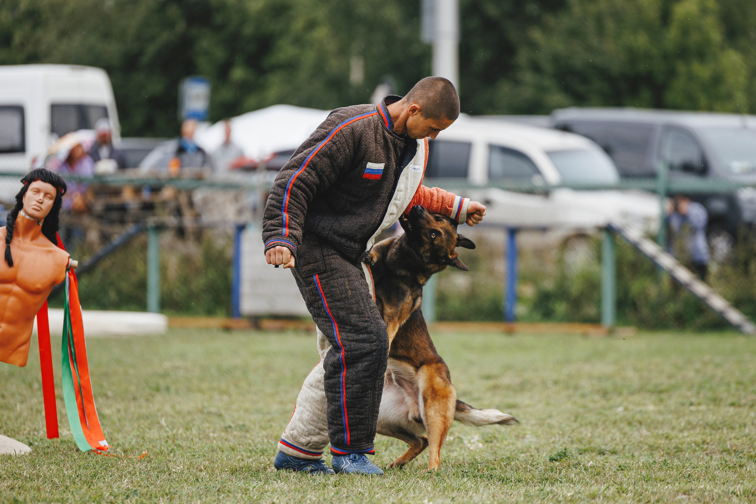 08.08.25-10.08.25 ЧР по мондьорингу г. Вологда. Фотограф-анималист Анна Маринич