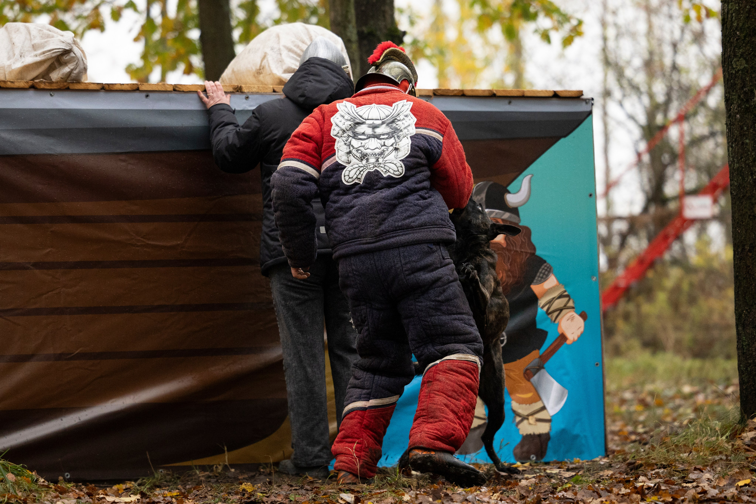 Соревнования по Мондьорингу г. Вологда. Фотограф-анималист Анна Маринич