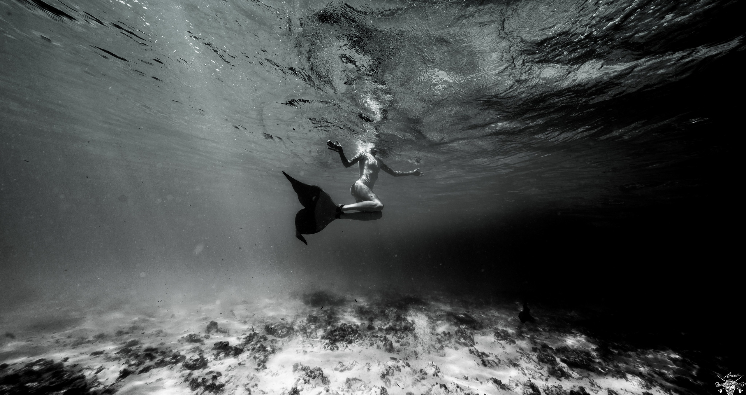 Underwater Photos. Лайфстайл Фотограф и Профессиональный Водный Фотограф в Москве