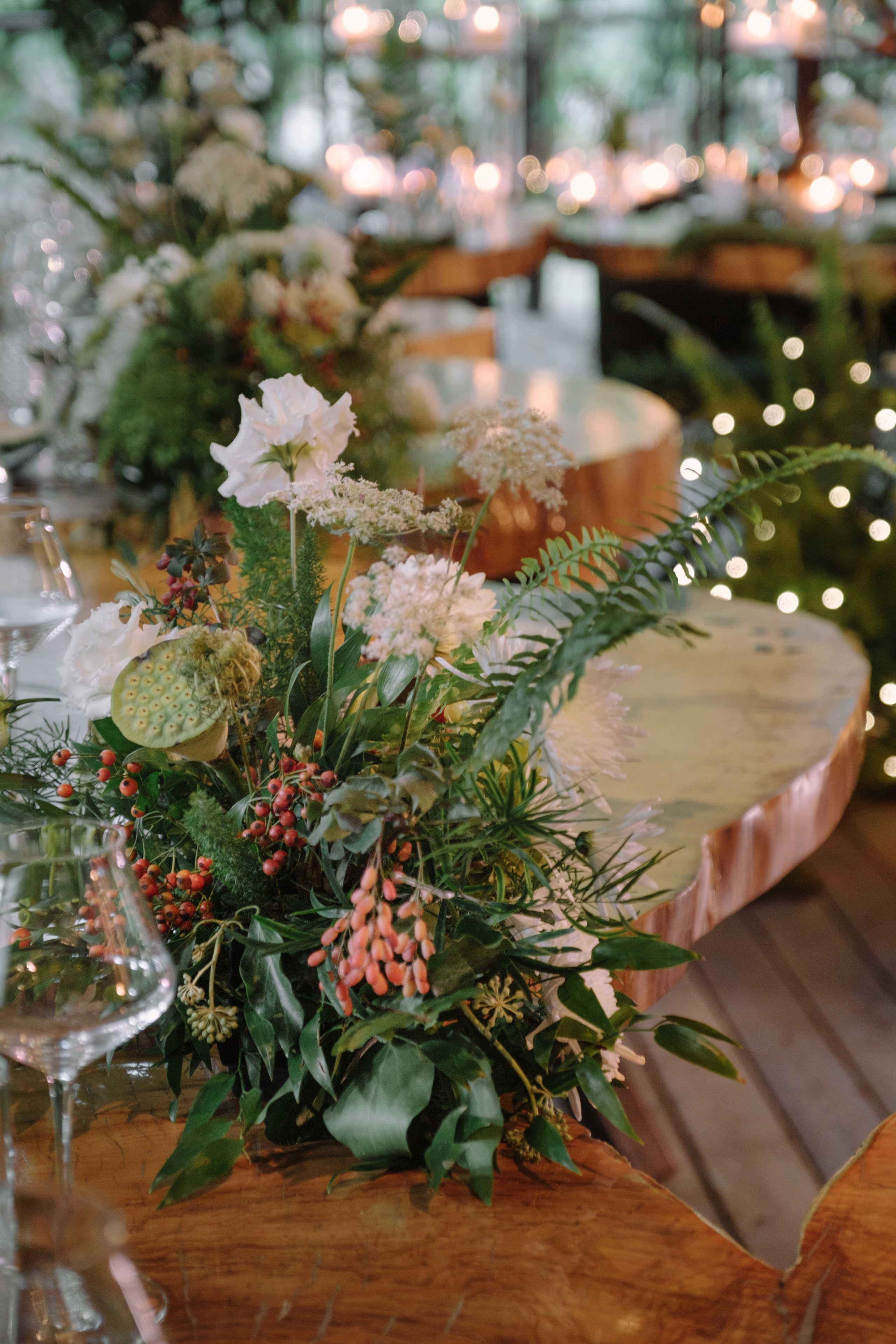 Кот и Дракон. Свадебный Видеограф Фотограф в Сочи