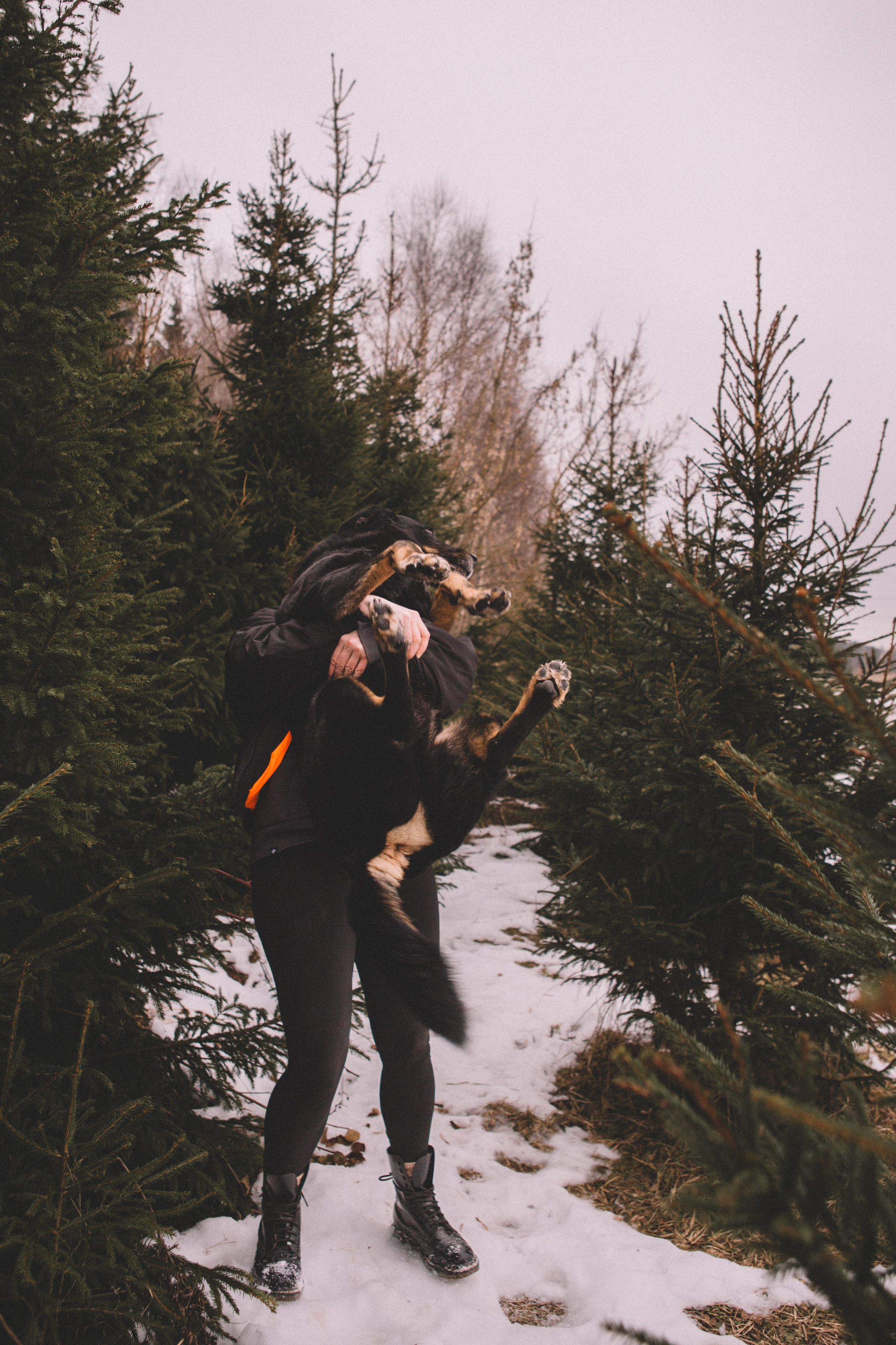 Alyona & Felix. Portrait, family and pet photographer in Cyprus, Ksenia Bourdelle