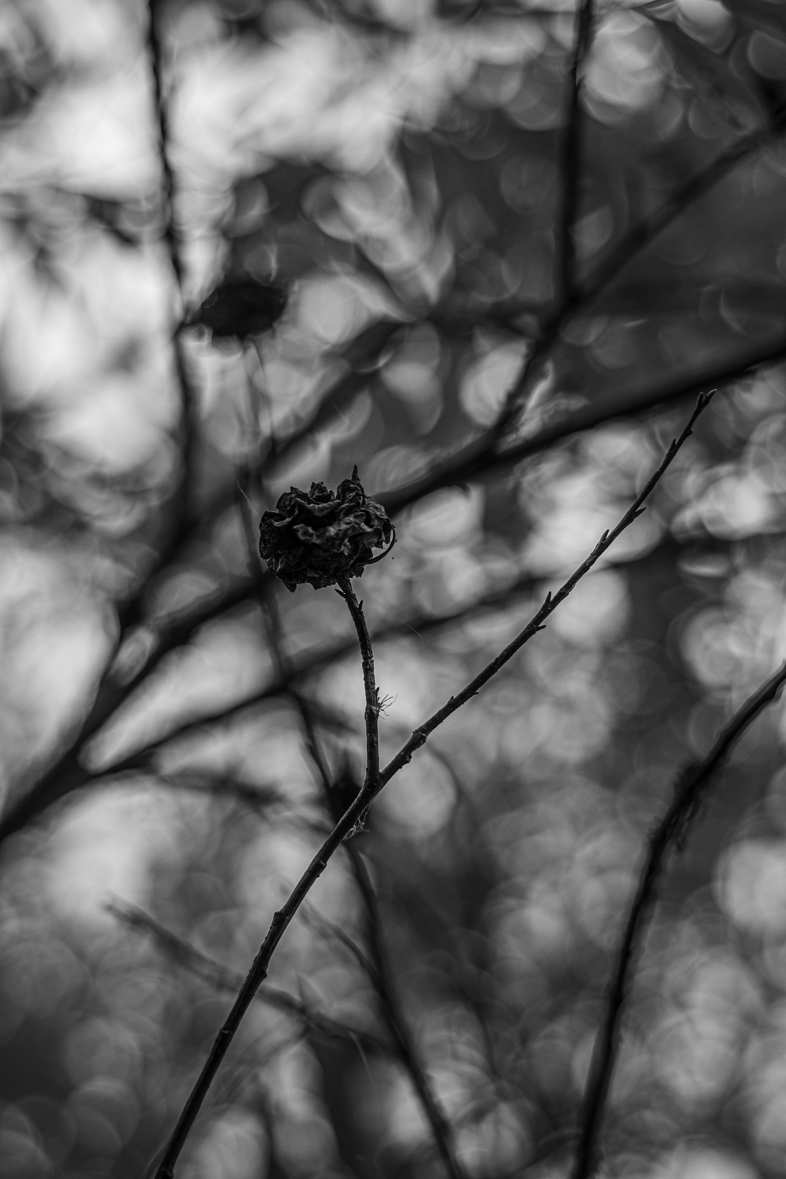 Art. Арт — фотограф Евгений Наймушин Новокузнецк