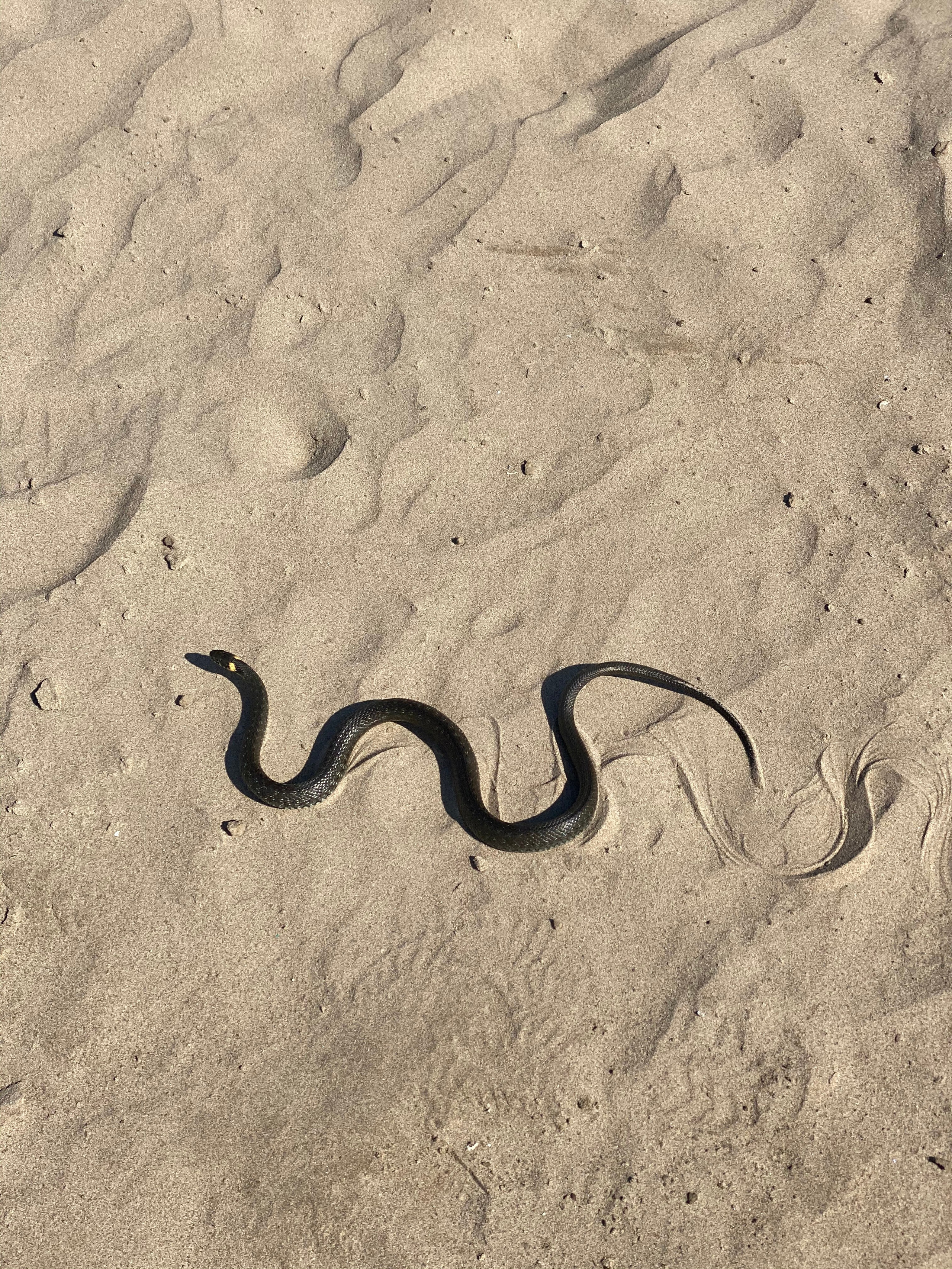 Астрахань — 20. Своя Мастерская