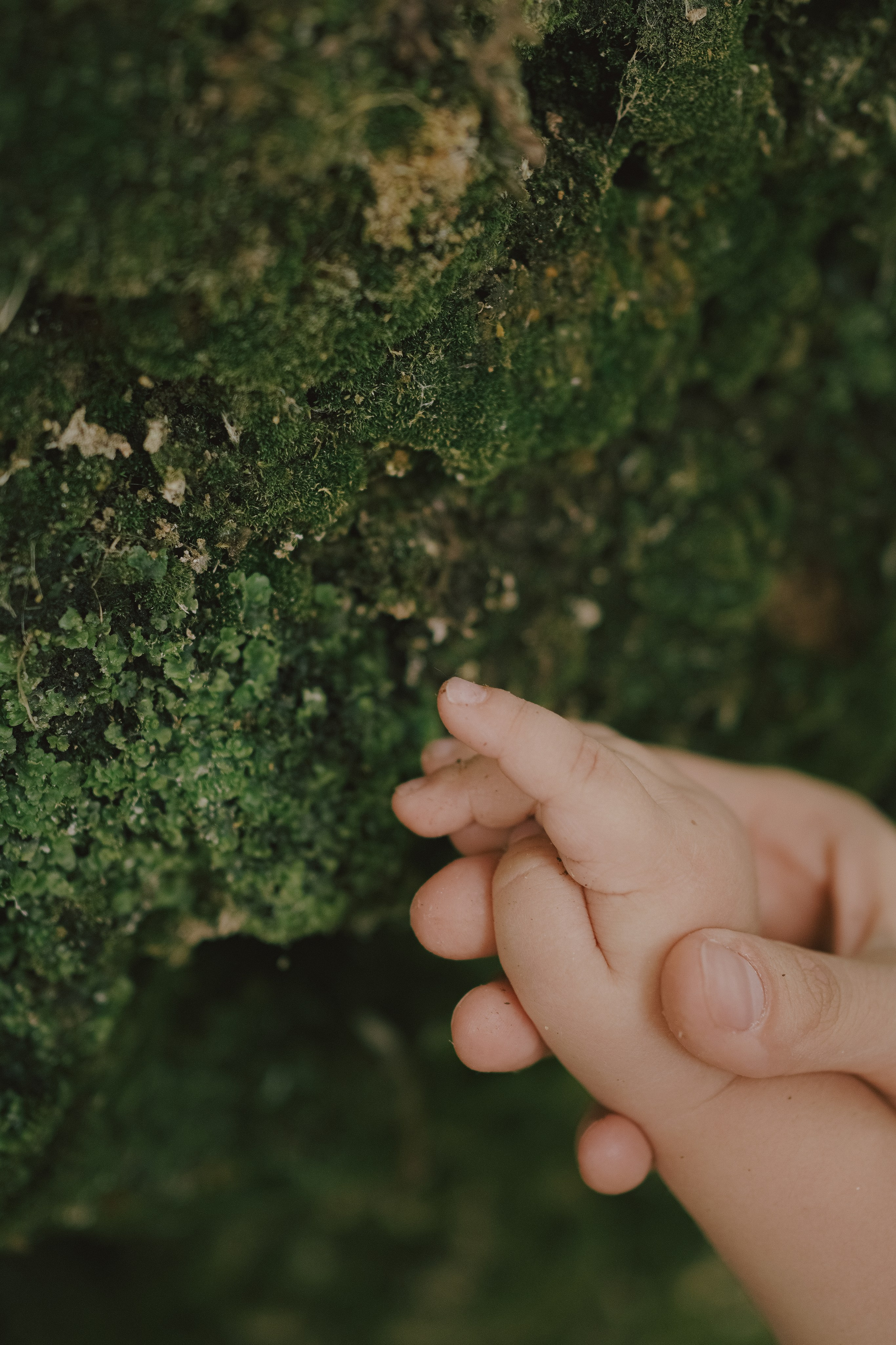 То, что я вижу. Свадебный и семейный фотограф Афанасьева Анна в Кисловодске
