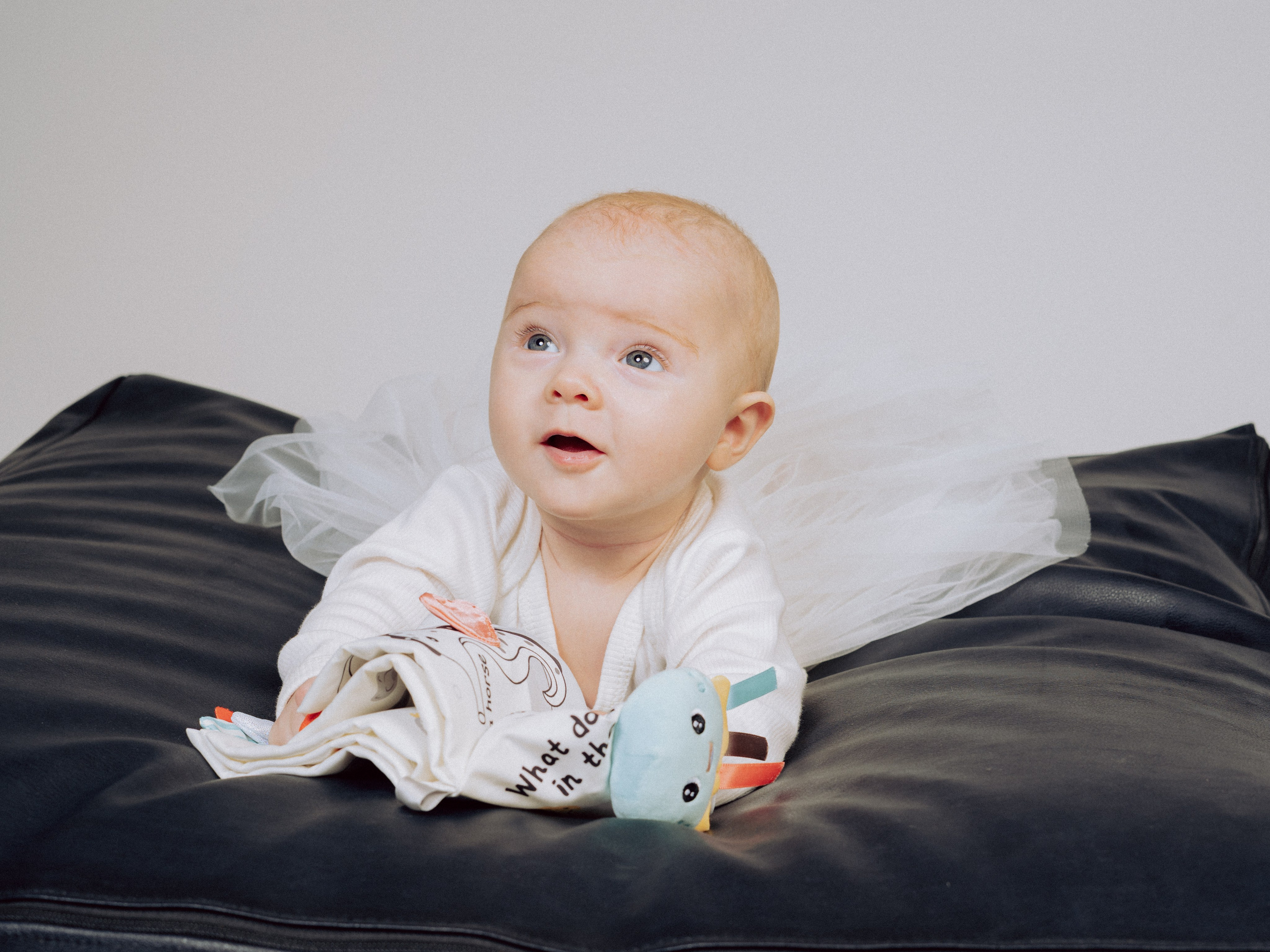 Их уже пятерооооо. Фотограф в Москве Шалышко Ангелина