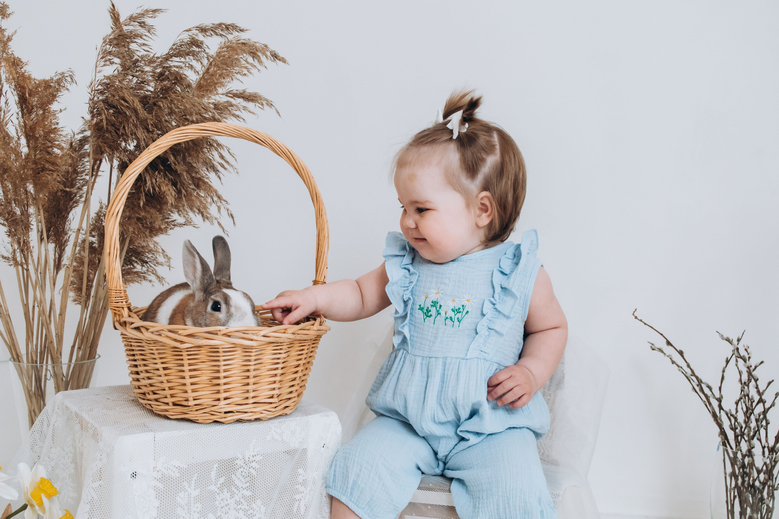 С цыплятами. Семейный фотограф Нижневартовск Тюмень Ефимова Ирина