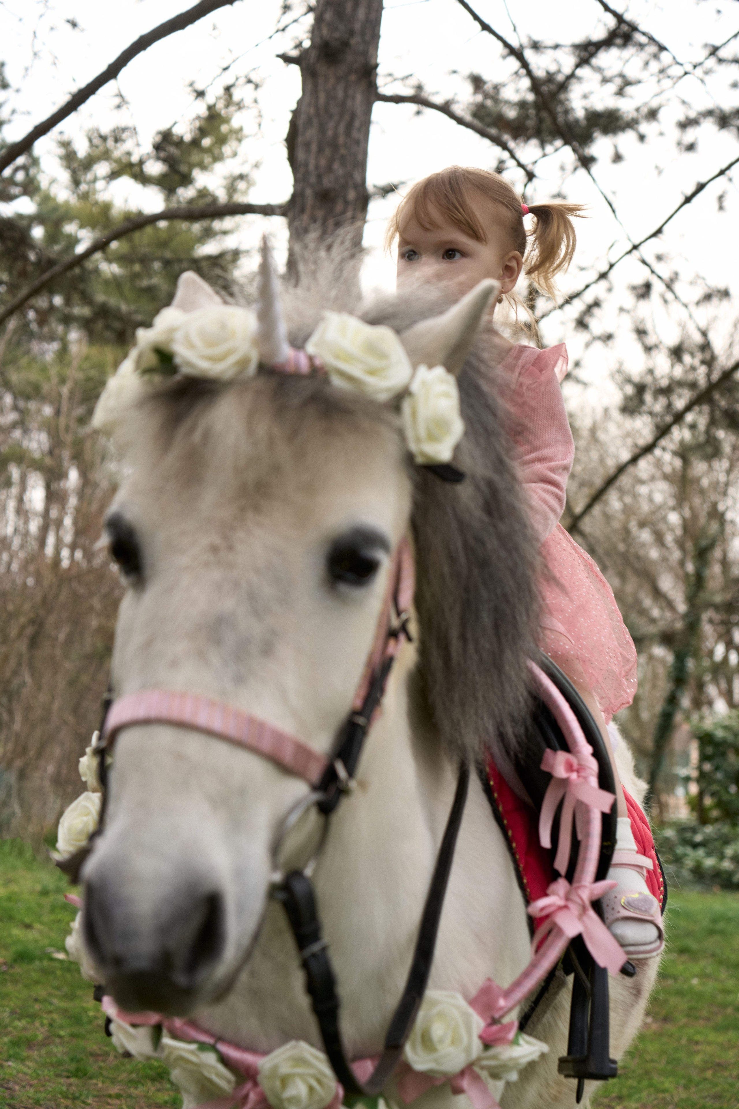 Злата. Фотограф в Краснодаре Татьяна Вижевитова