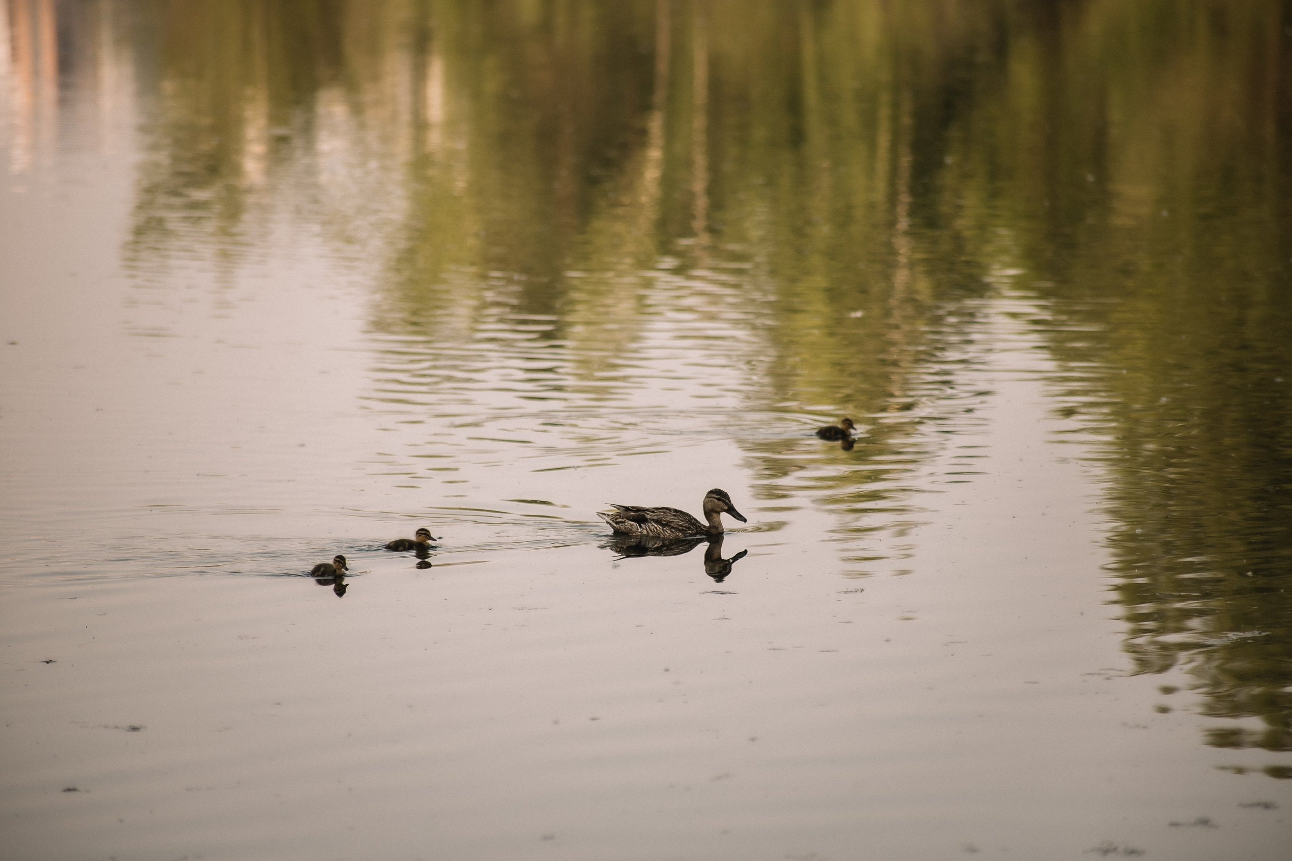 Надежда. Фотограф Регина Крикунова г. Красноярск