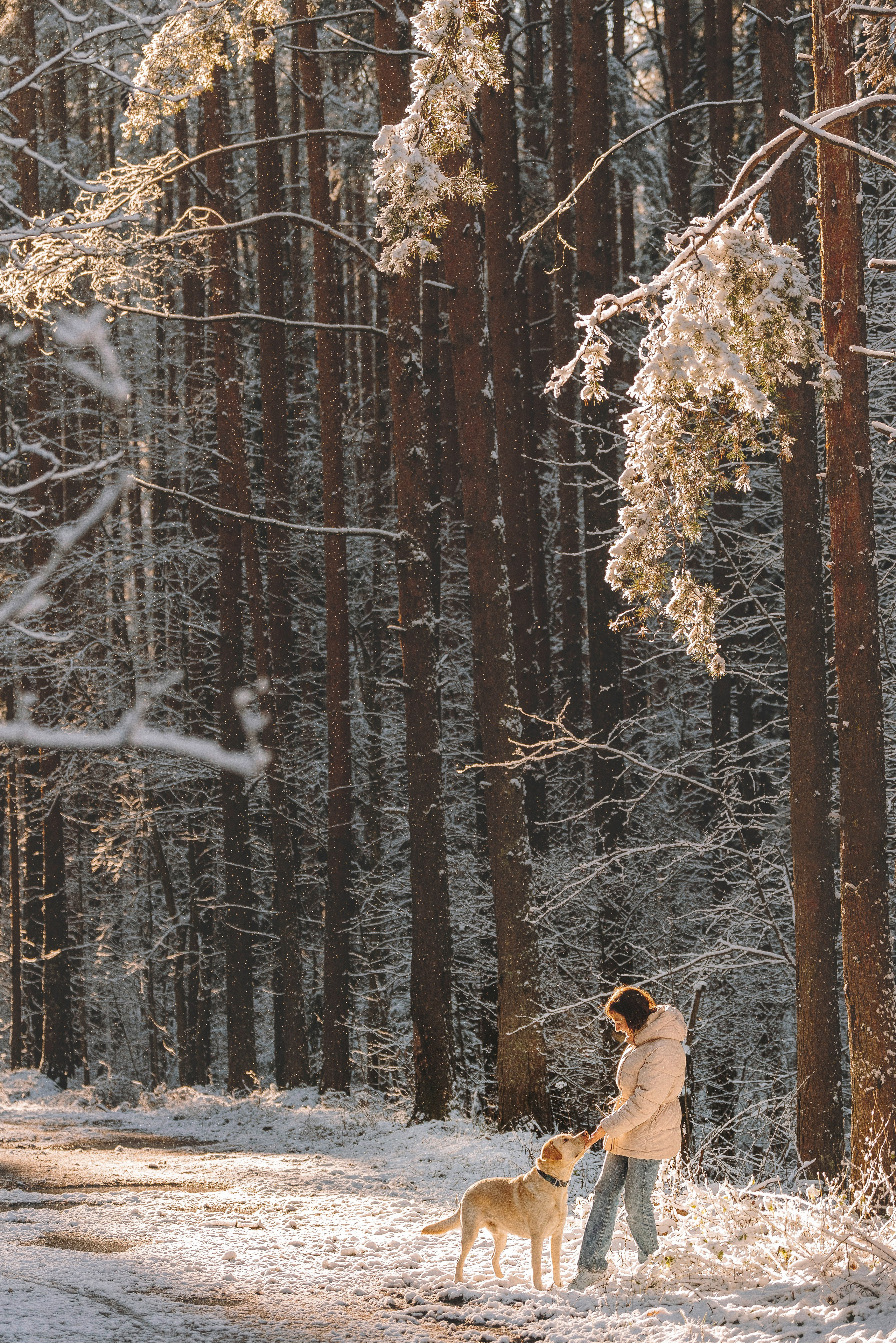 Аня и Честер. Фотограф анималист в Спб недорого Олеся Майорова