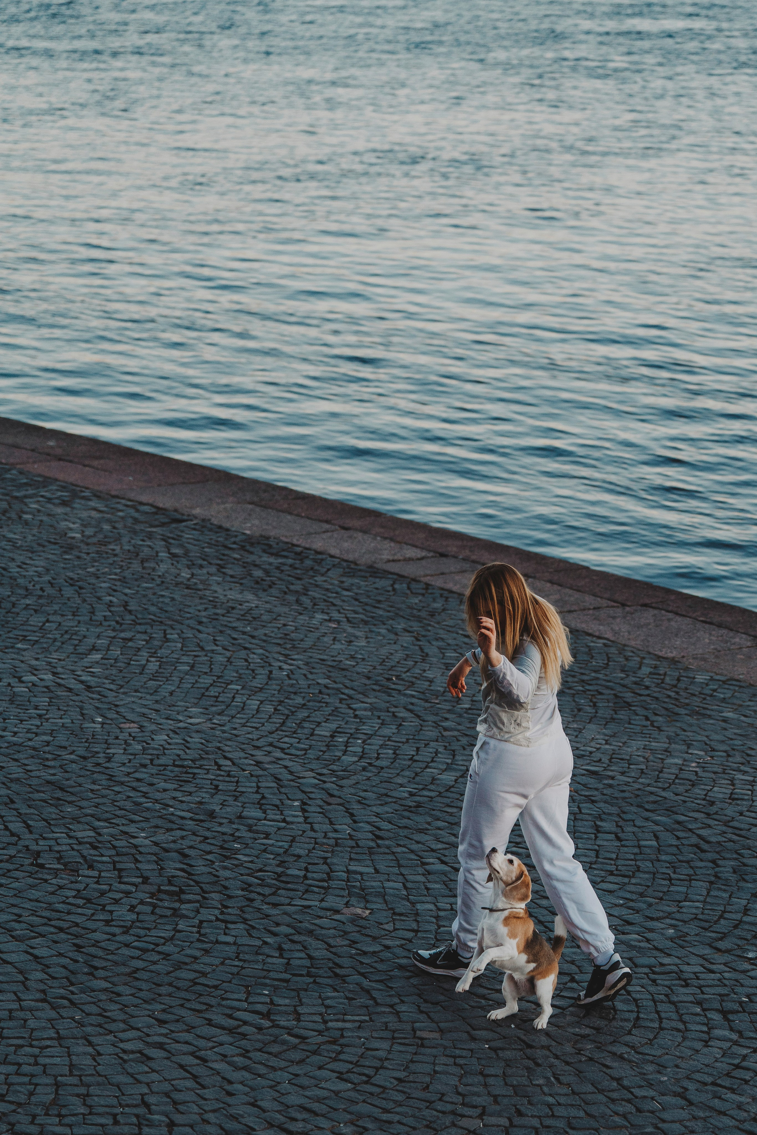 Ксения и Гаечка. Фотограф анималист в Спб недорого Олеся Майорова