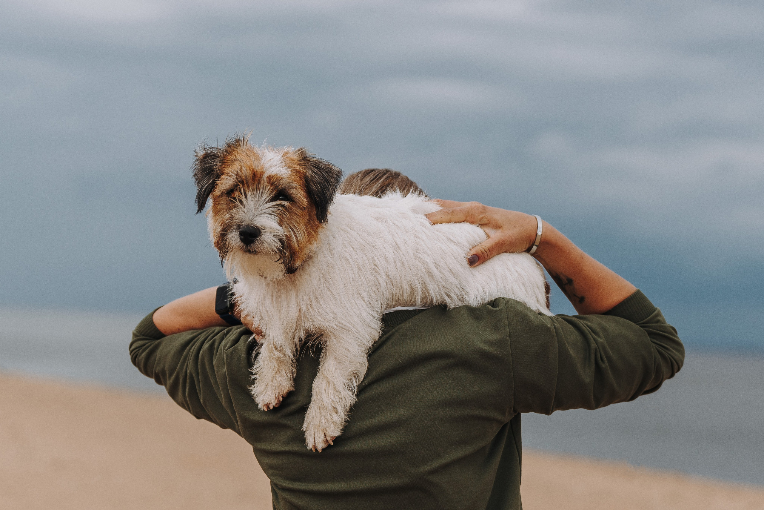 Оля, Ларс и Лукас. Фотограф анималист в Спб недорого Олеся Майорова