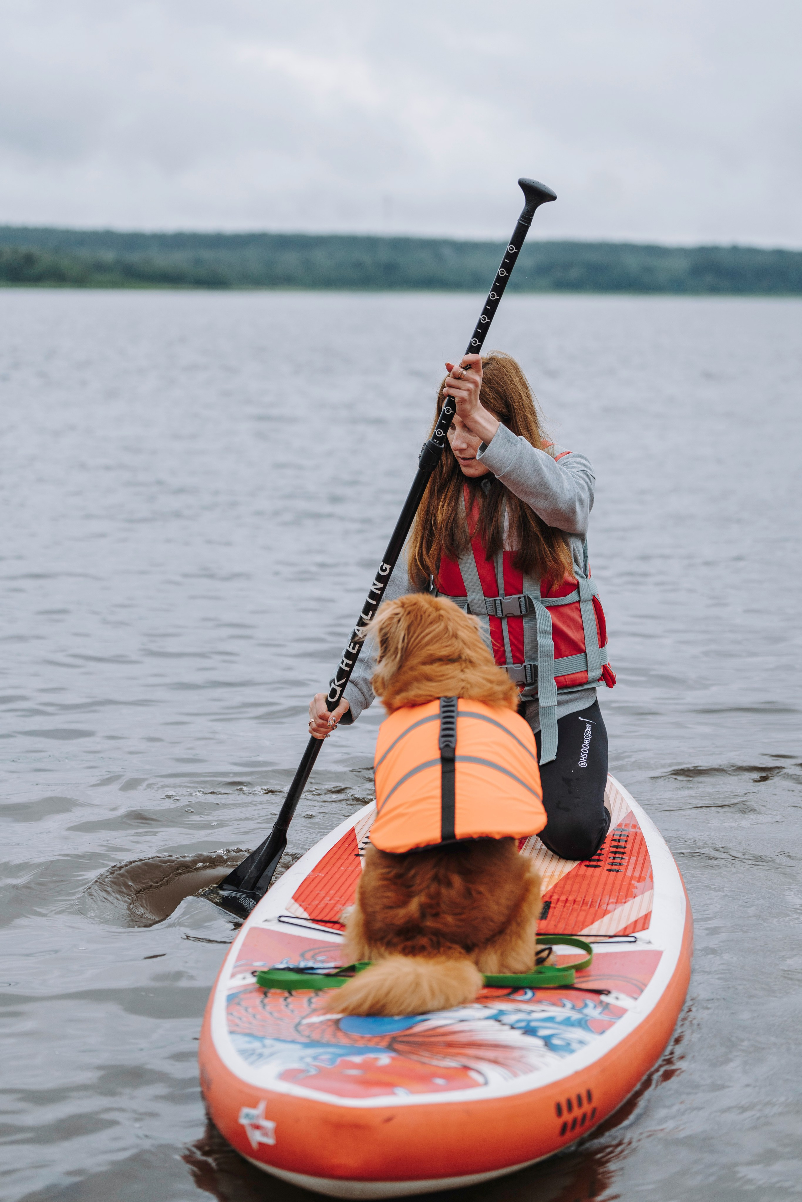 Катание на сапах с собаками. Фотограф анималист в Спб недорого Олеся Майорова