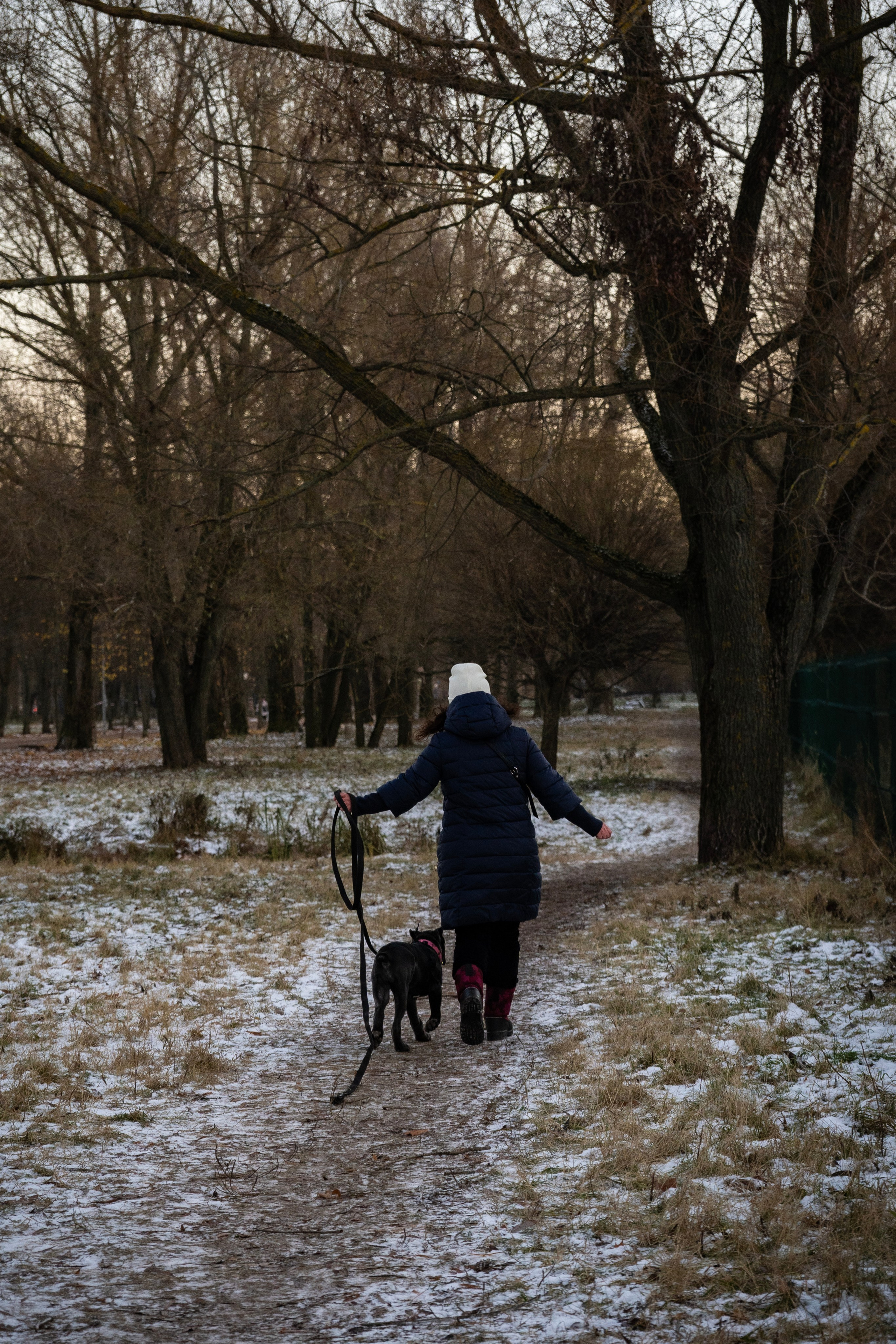 Фотосессии Пушистиков. Фотограф в Санкт-Петербурге Виктория Барышникова