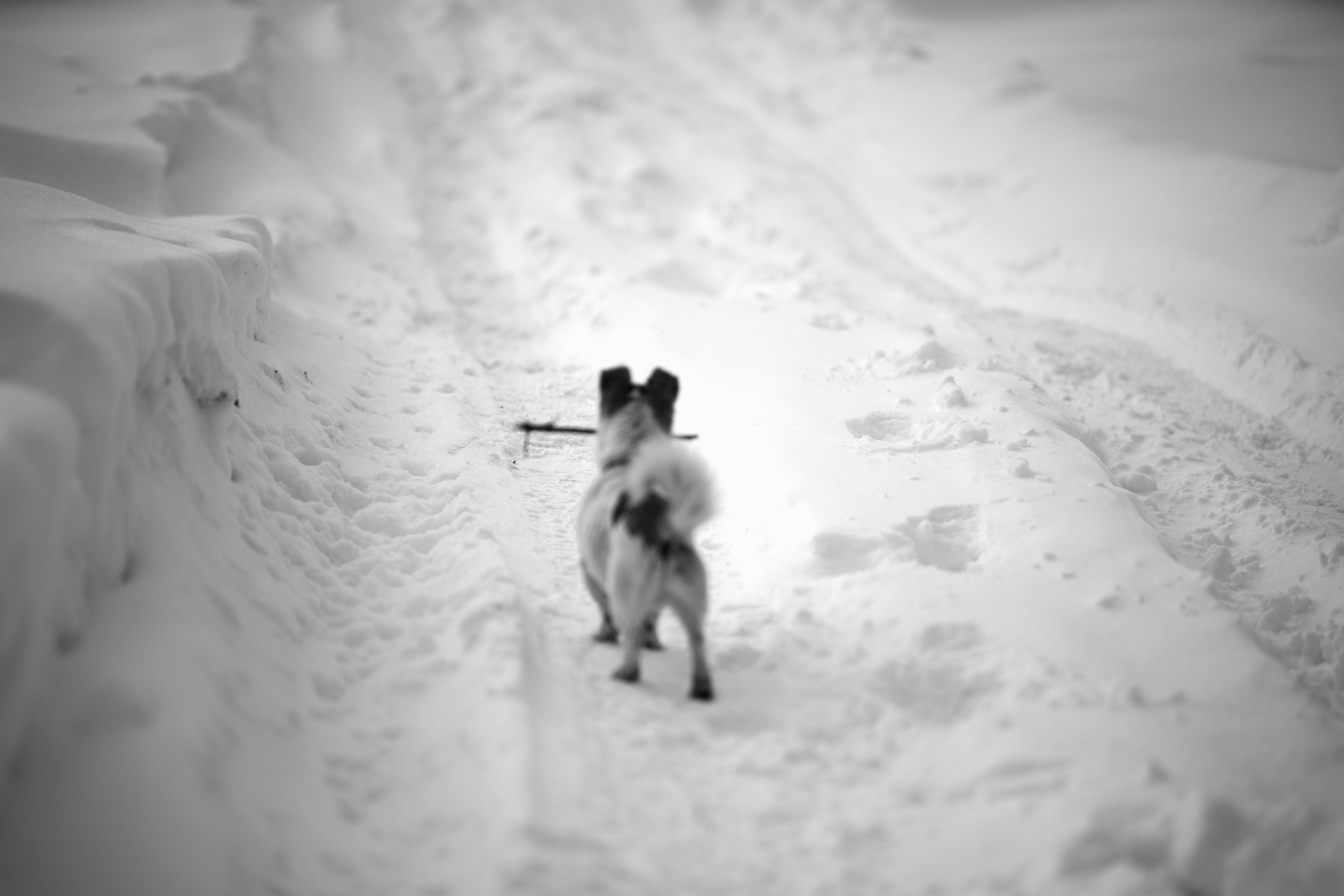 One love — one day. Искренний фотограф