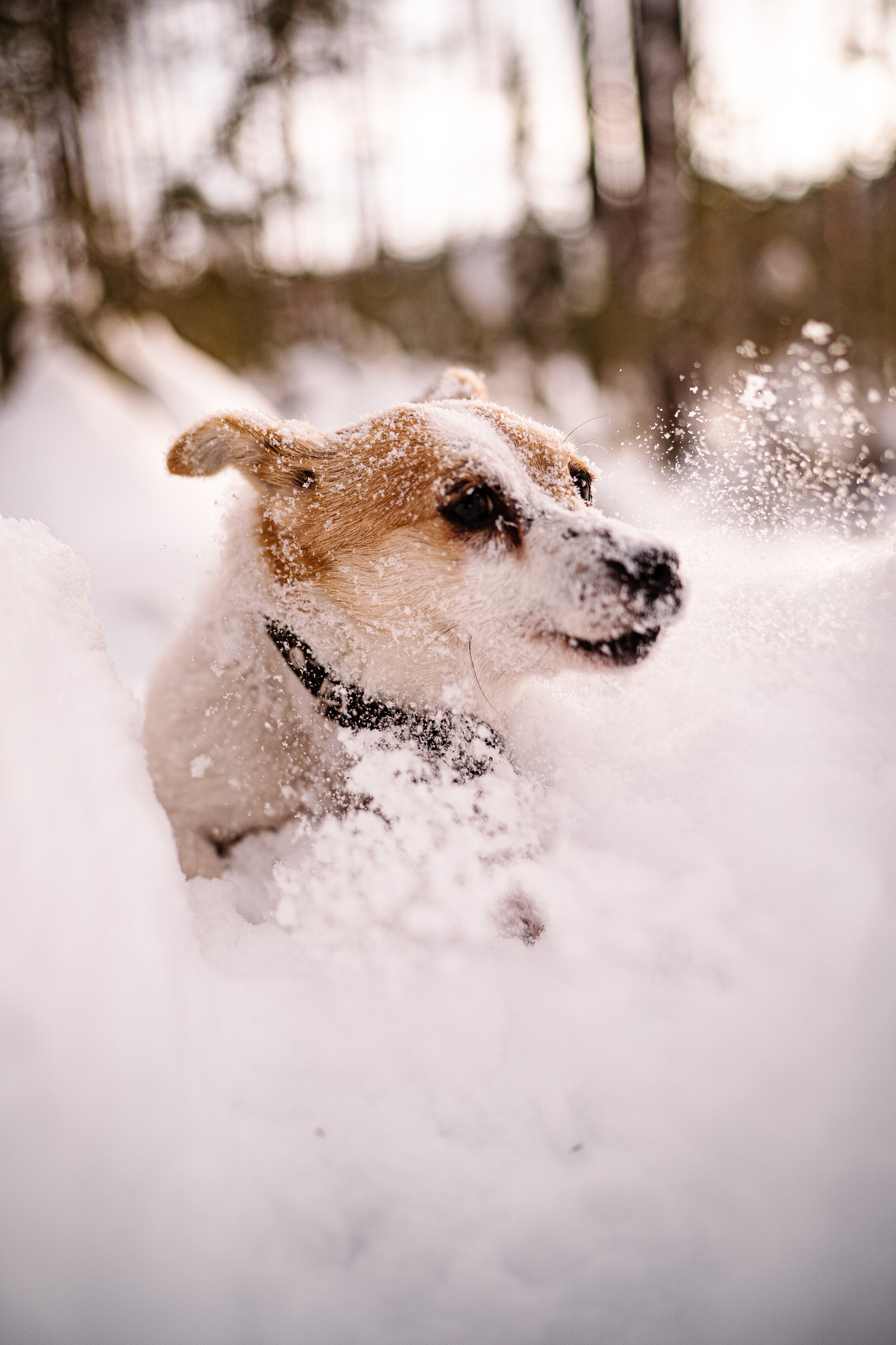 One love — one day. Искренний фотограф