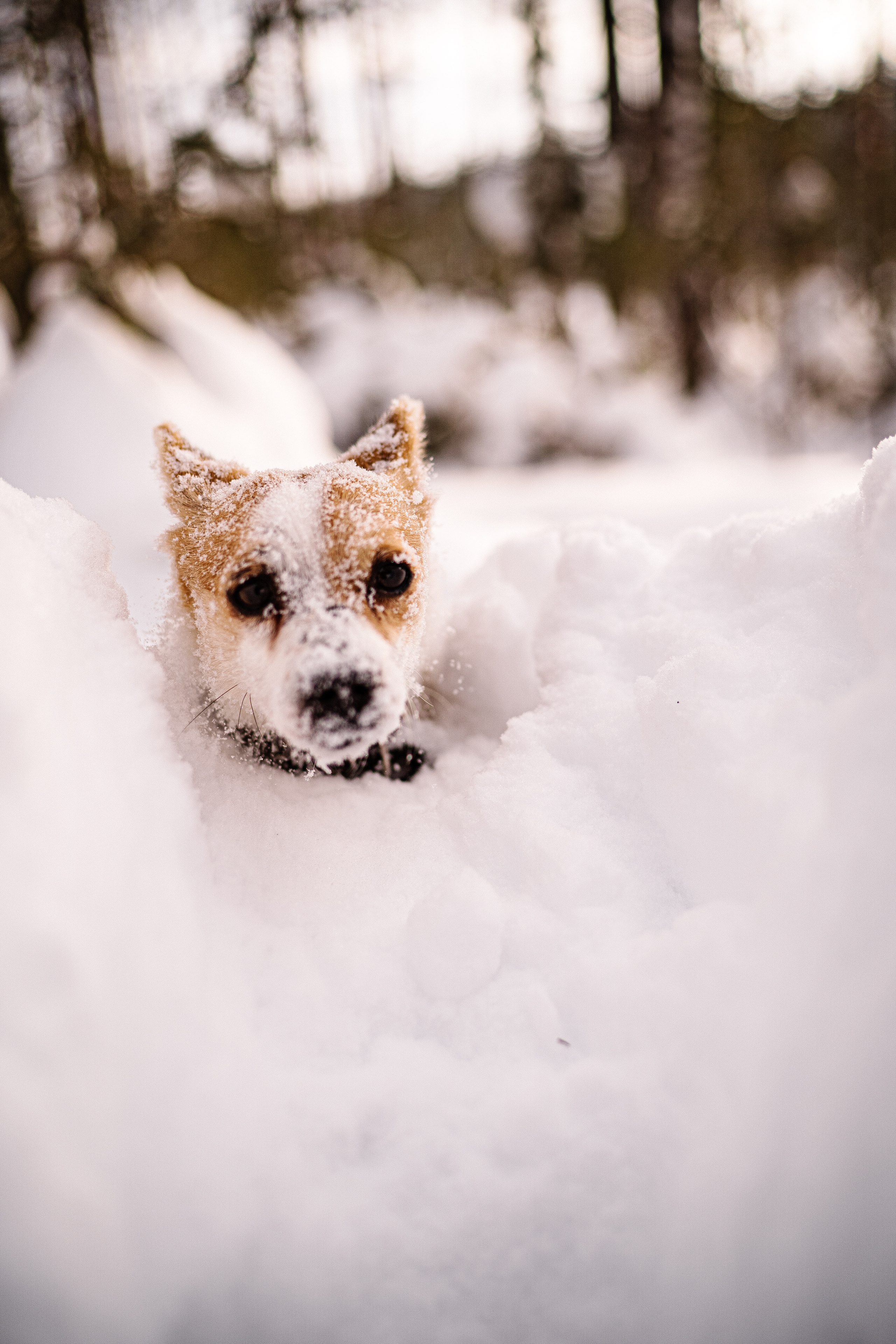 One love — one day. Искренний фотограф