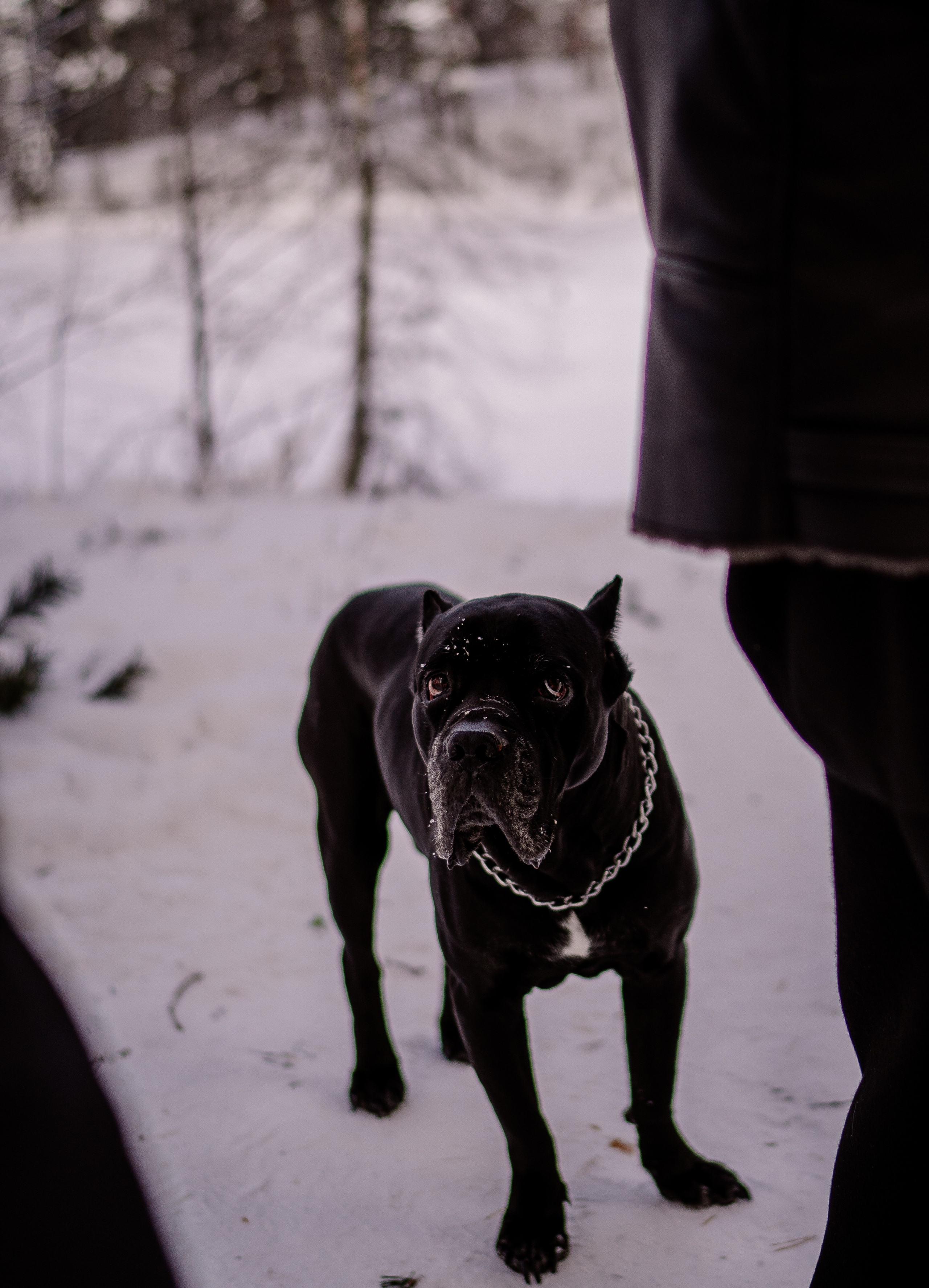 Боря 1 годик. Искренний фотограф